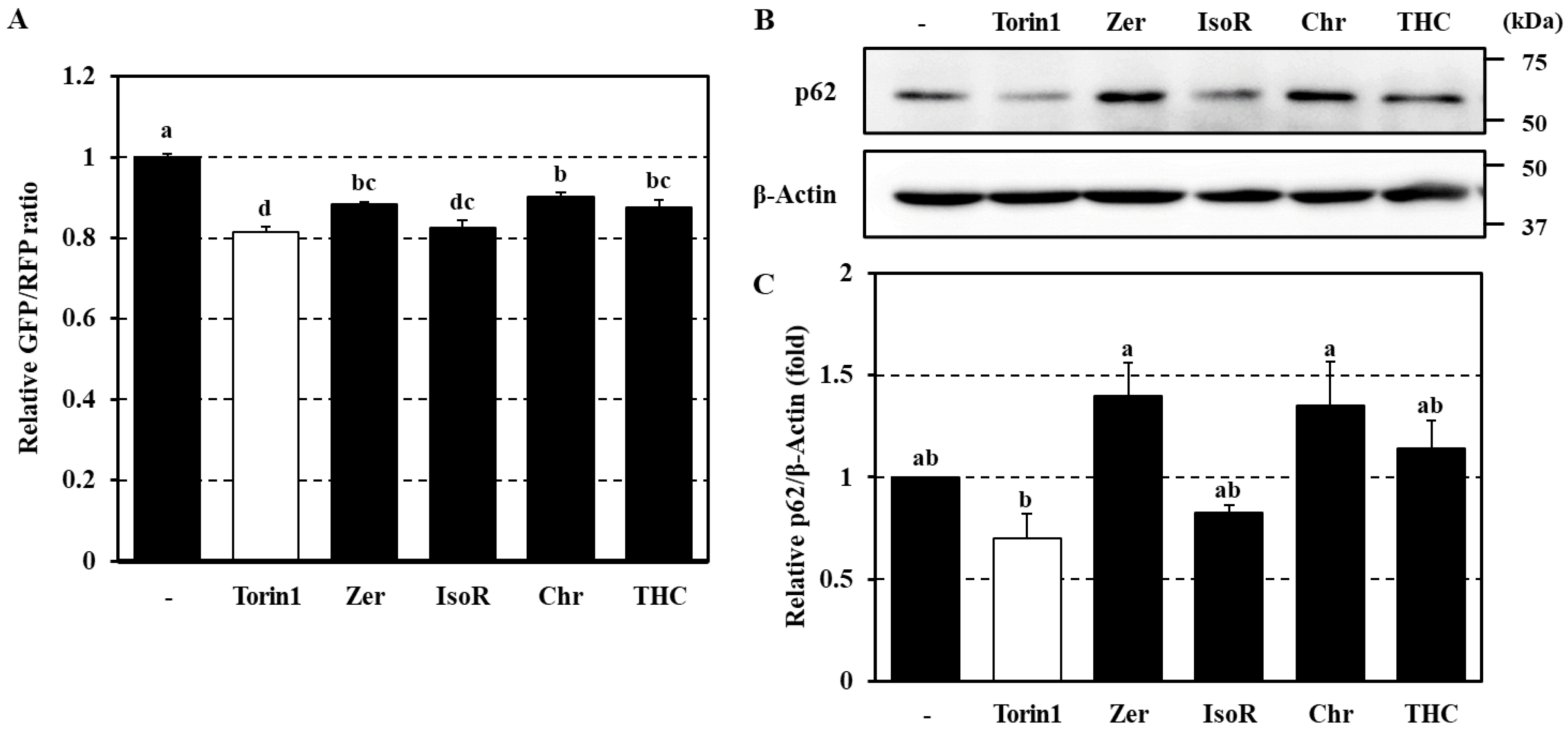 Antioxidants 09 01193 g005