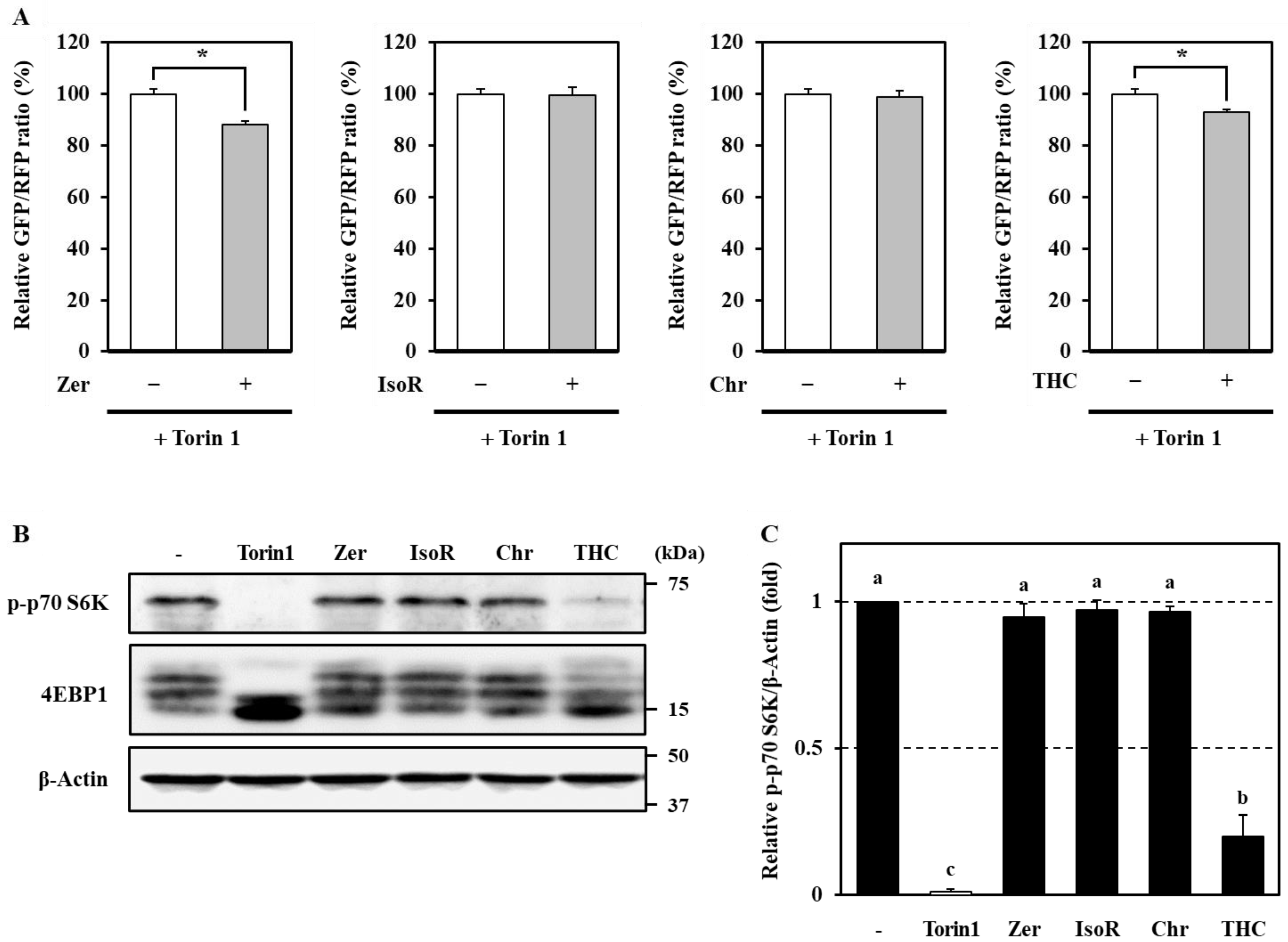 Antioxidants 09 01193 g006