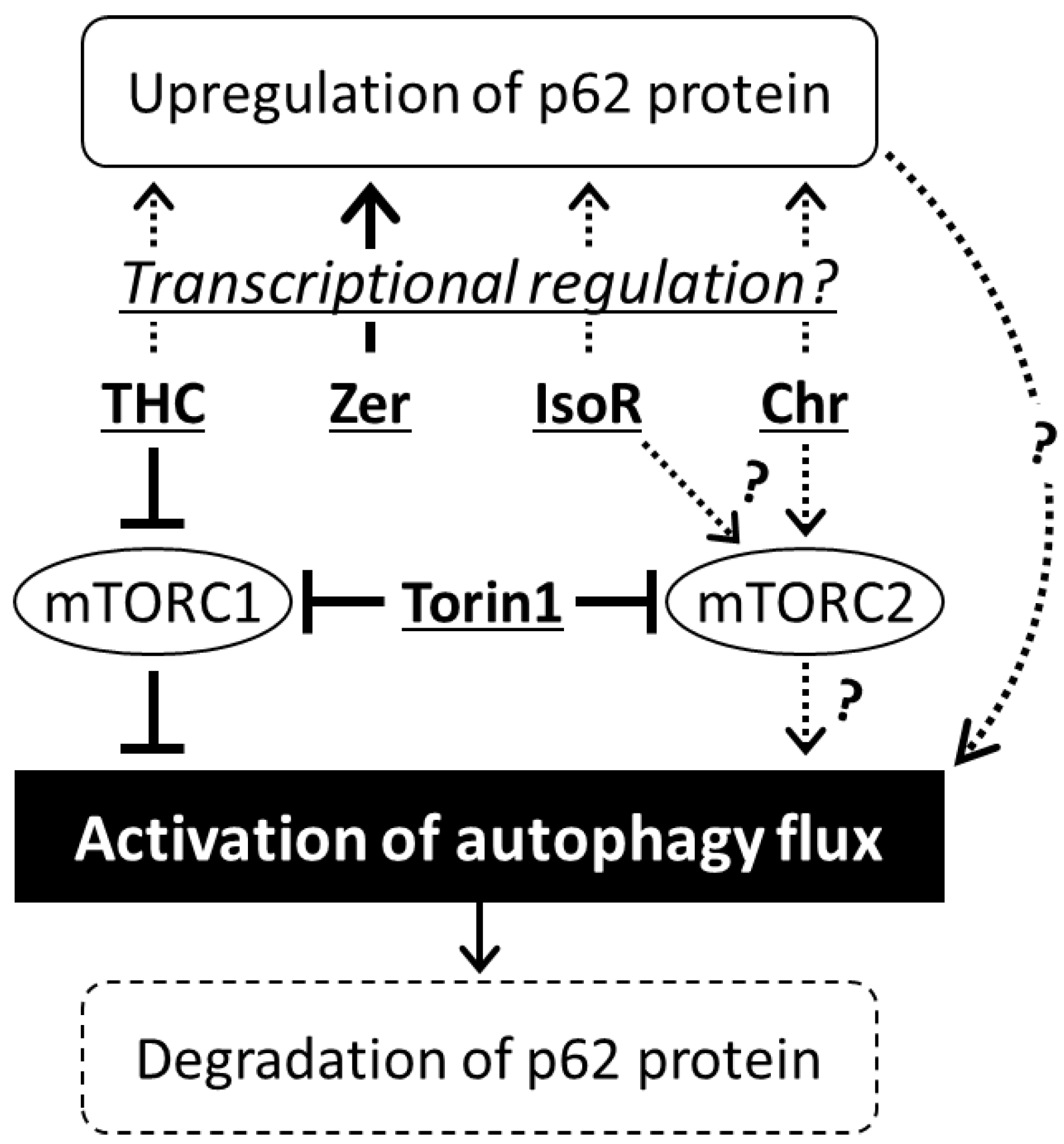 Antioxidants 09 01193 g007
