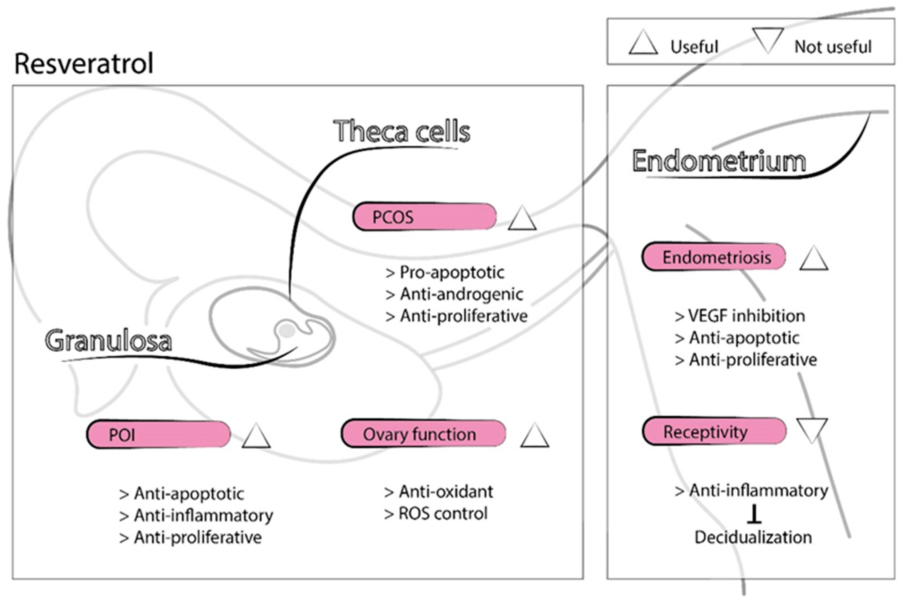 Antioxidants 09 01197 g003