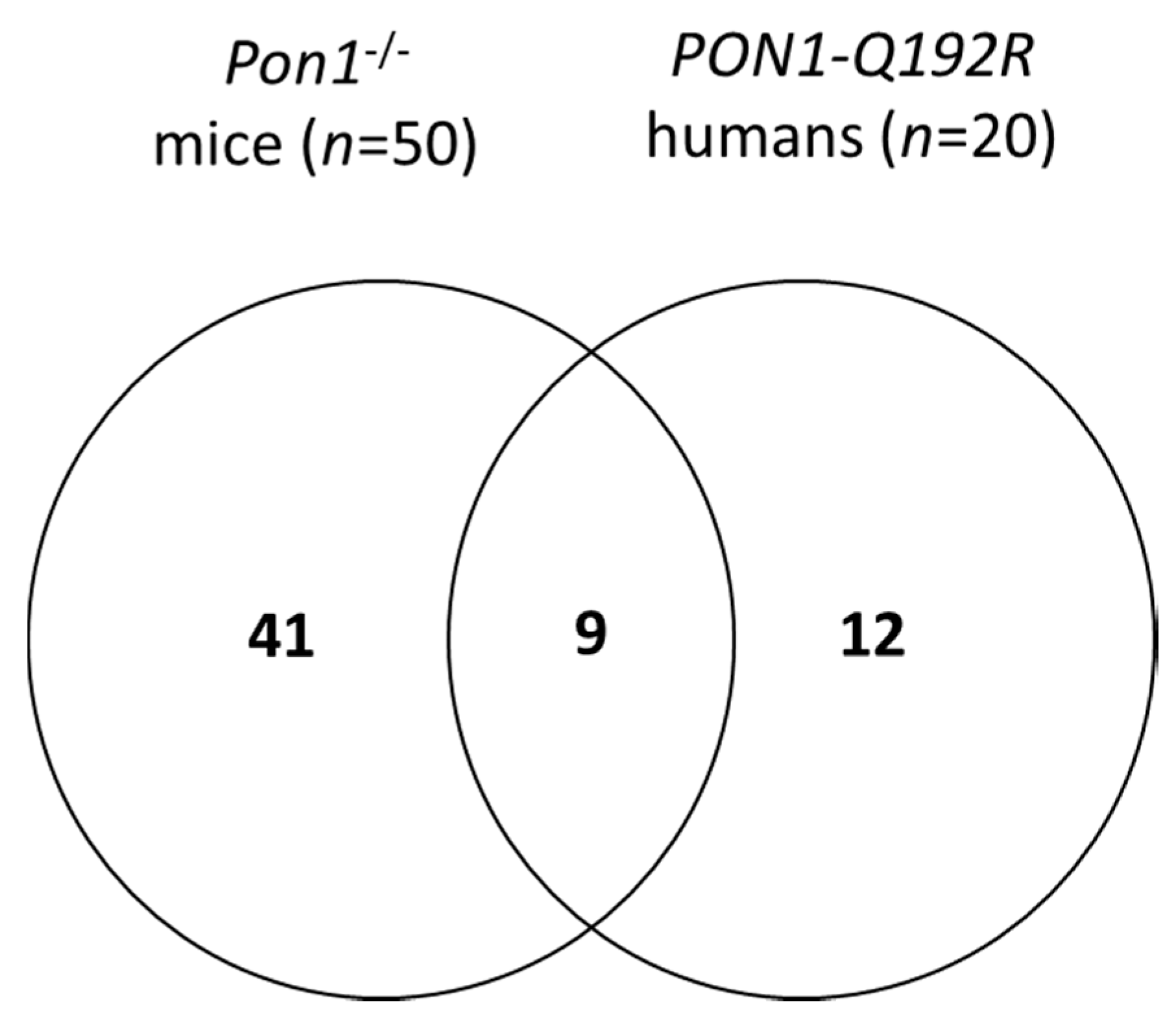 Antioxidants 09 01198 g002