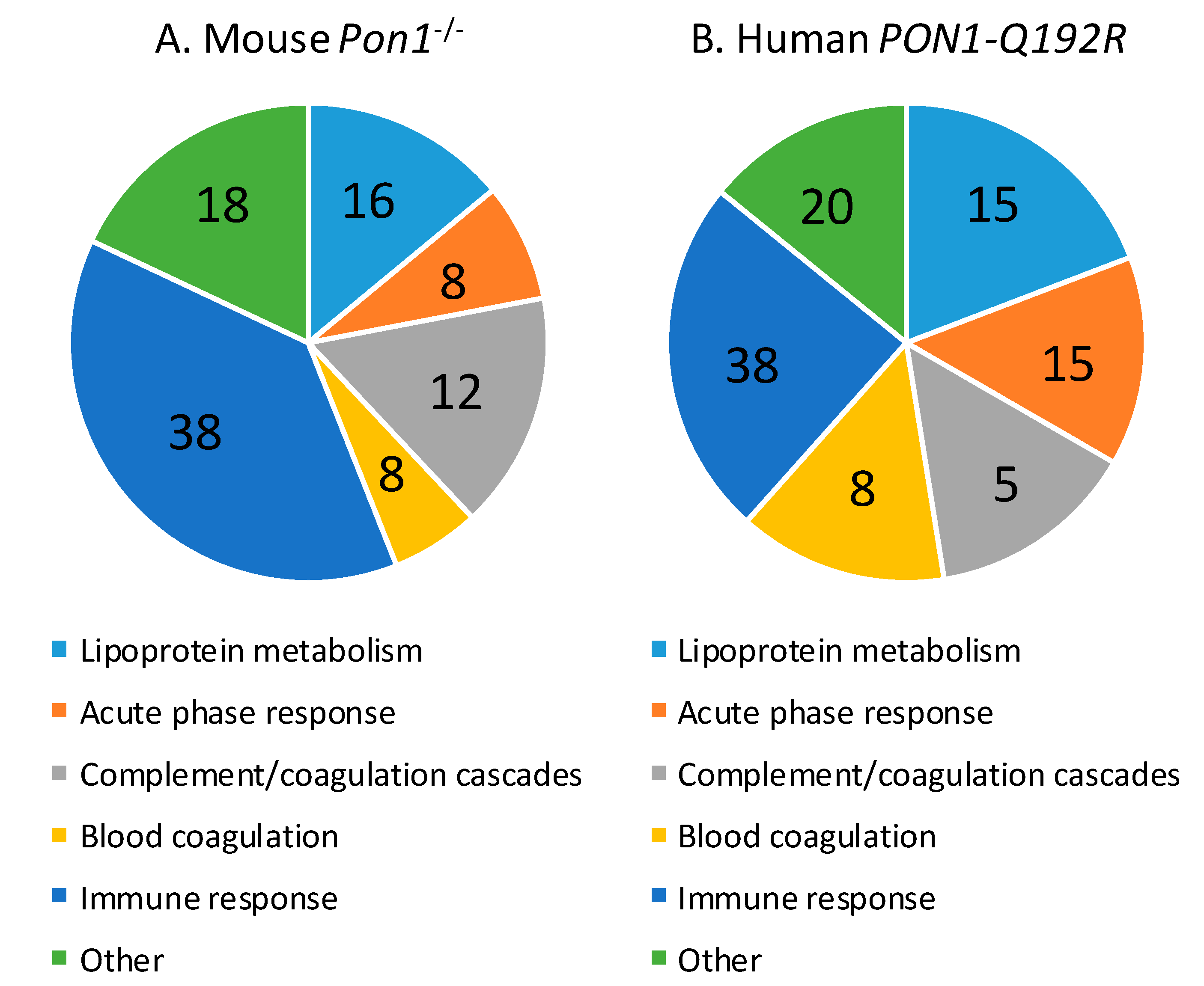 Antioxidants 09 01198 g003
