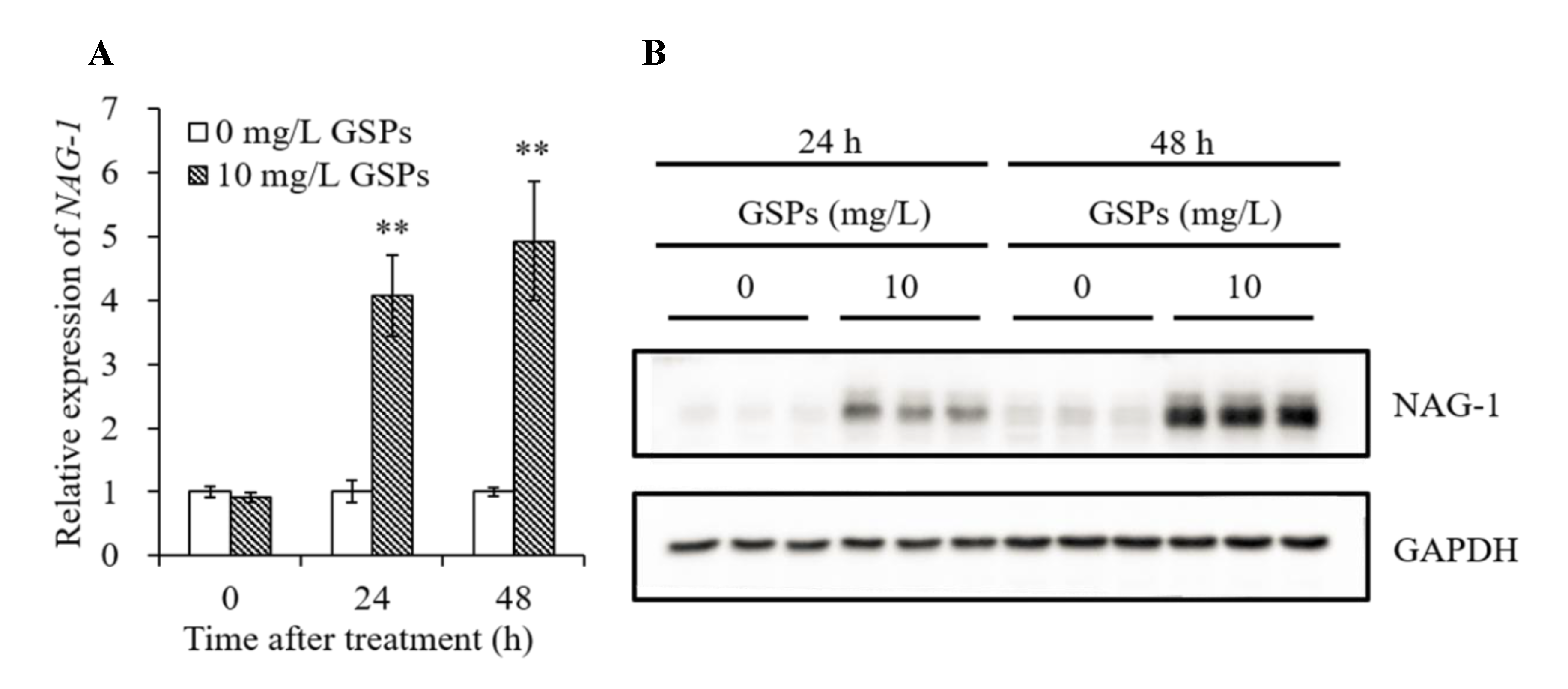 Antioxidants 09 01200 g006 Antioxidants 09 01200 g006
