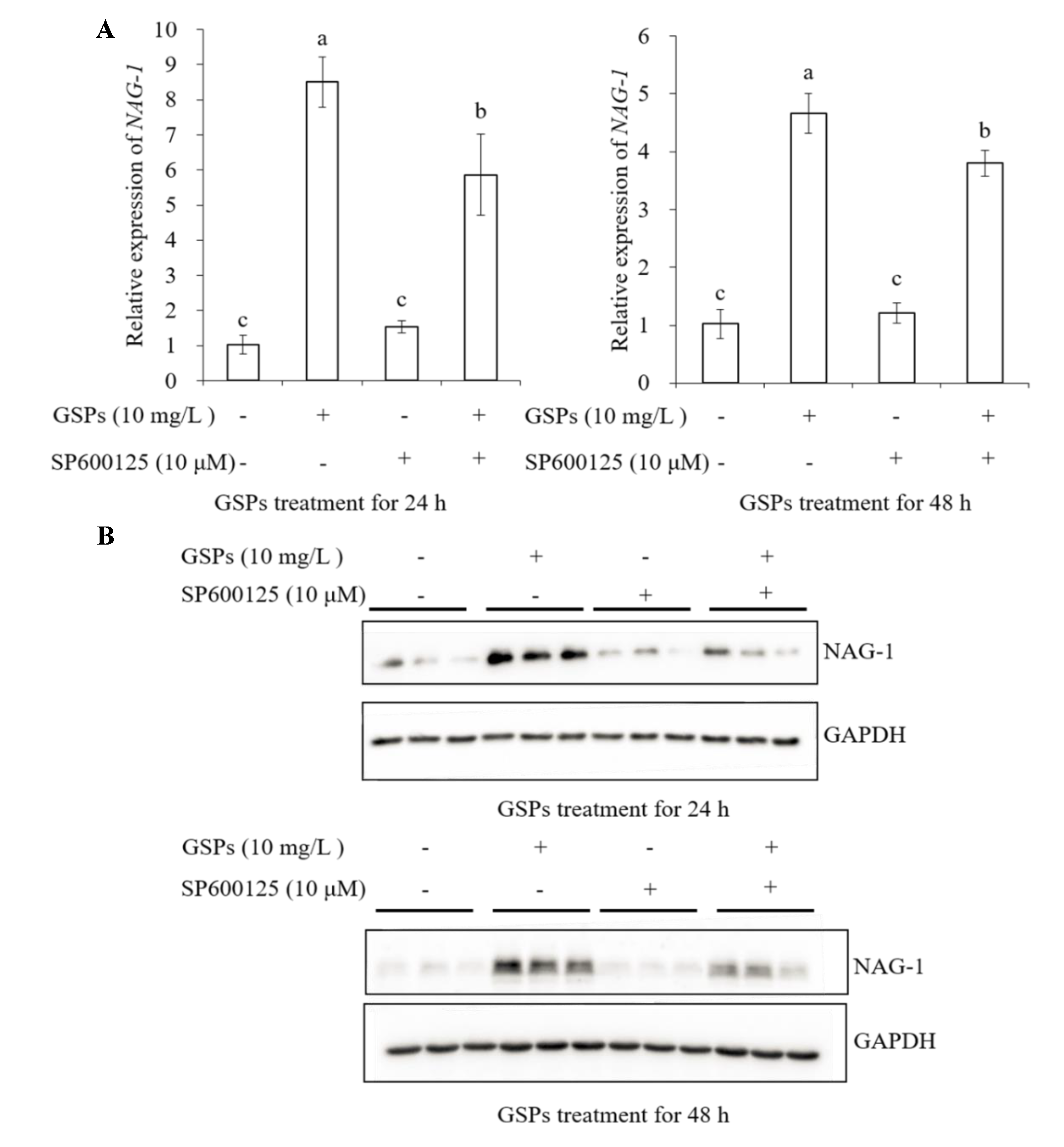 Antioxidants 09 01200 g007 Antioxidants 09 01200 g007