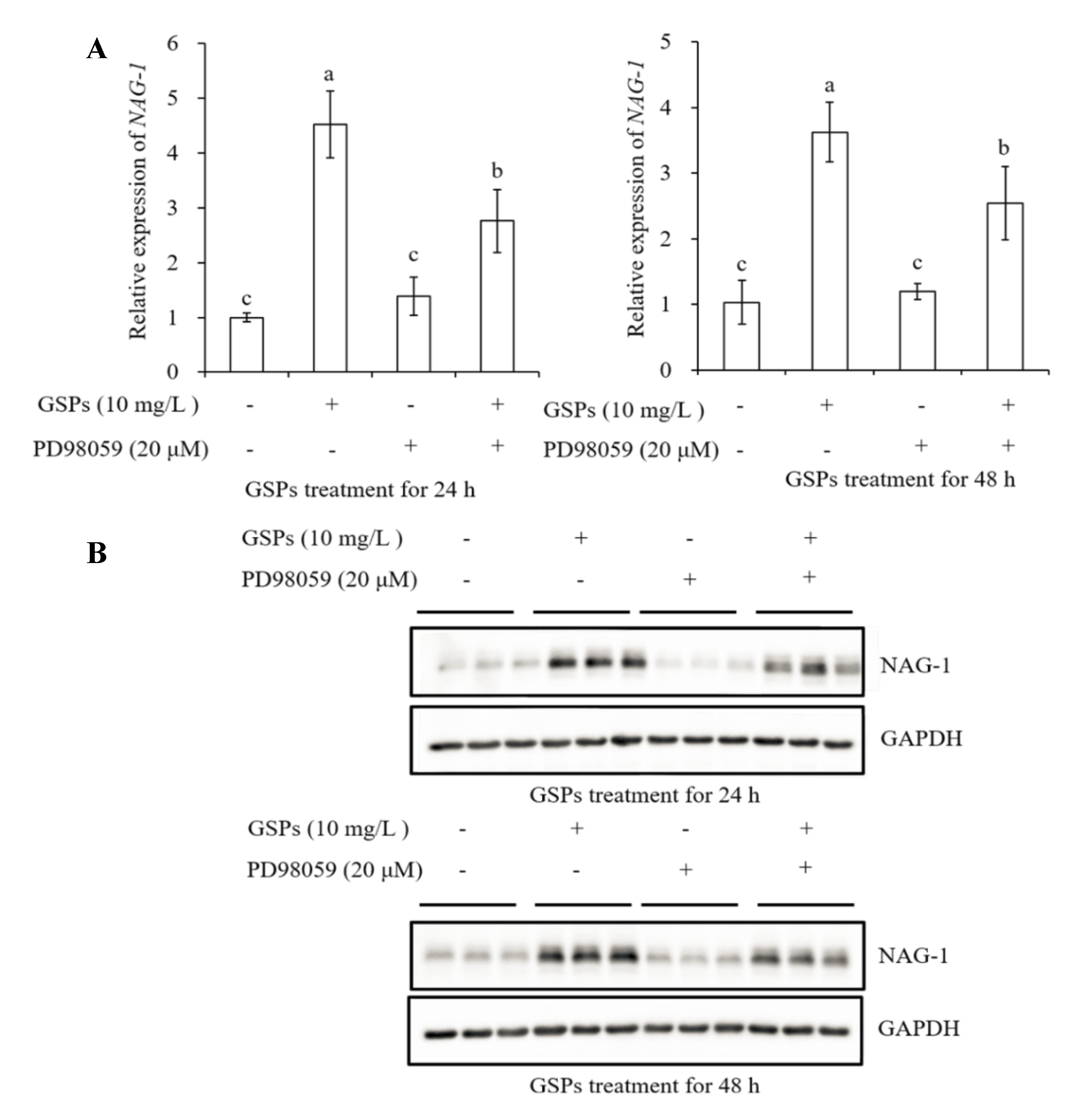 Antioxidants 09 01200 g008 Antioxidants 09 01200 g008