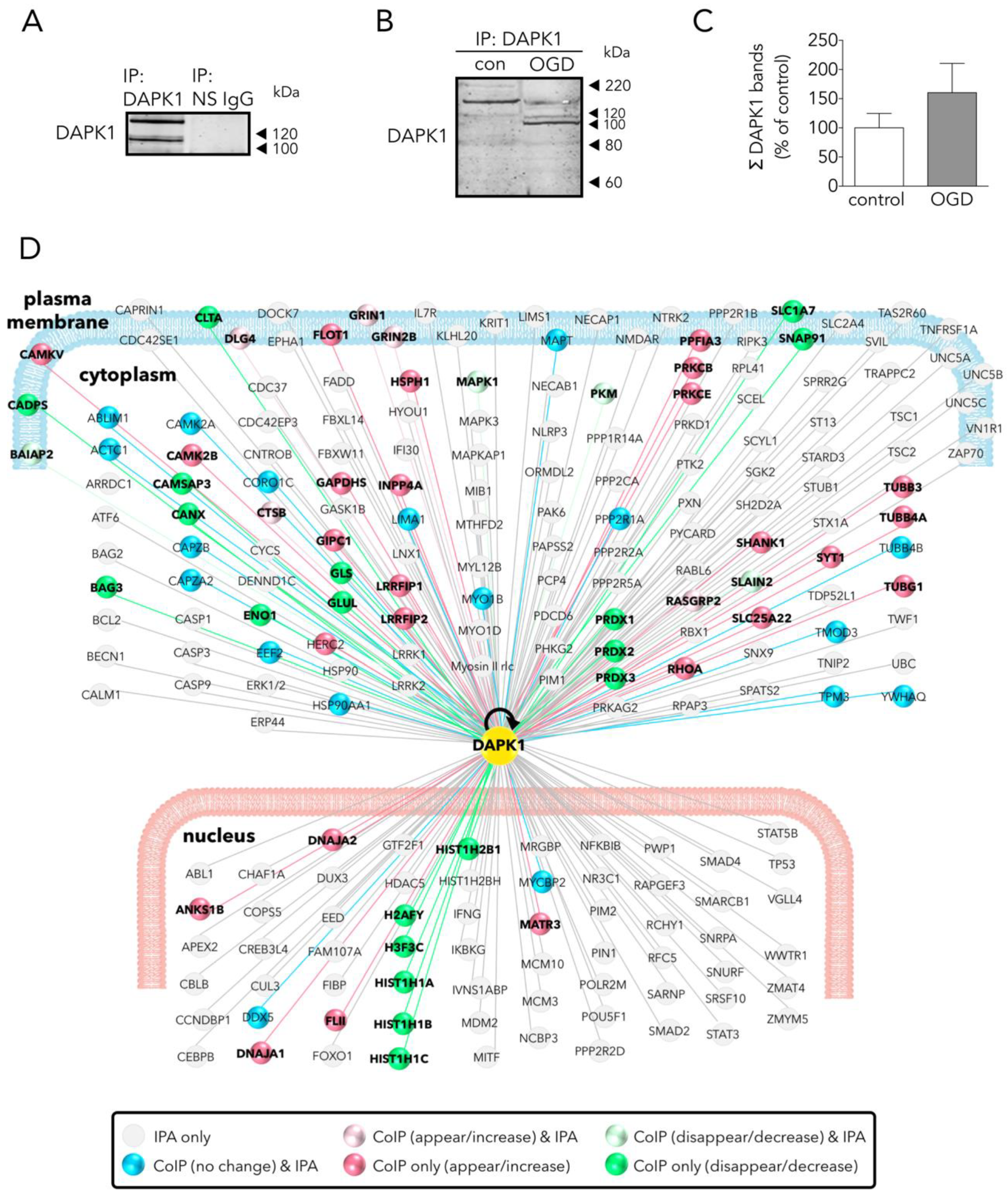 Antioxidants 09 01202 g002