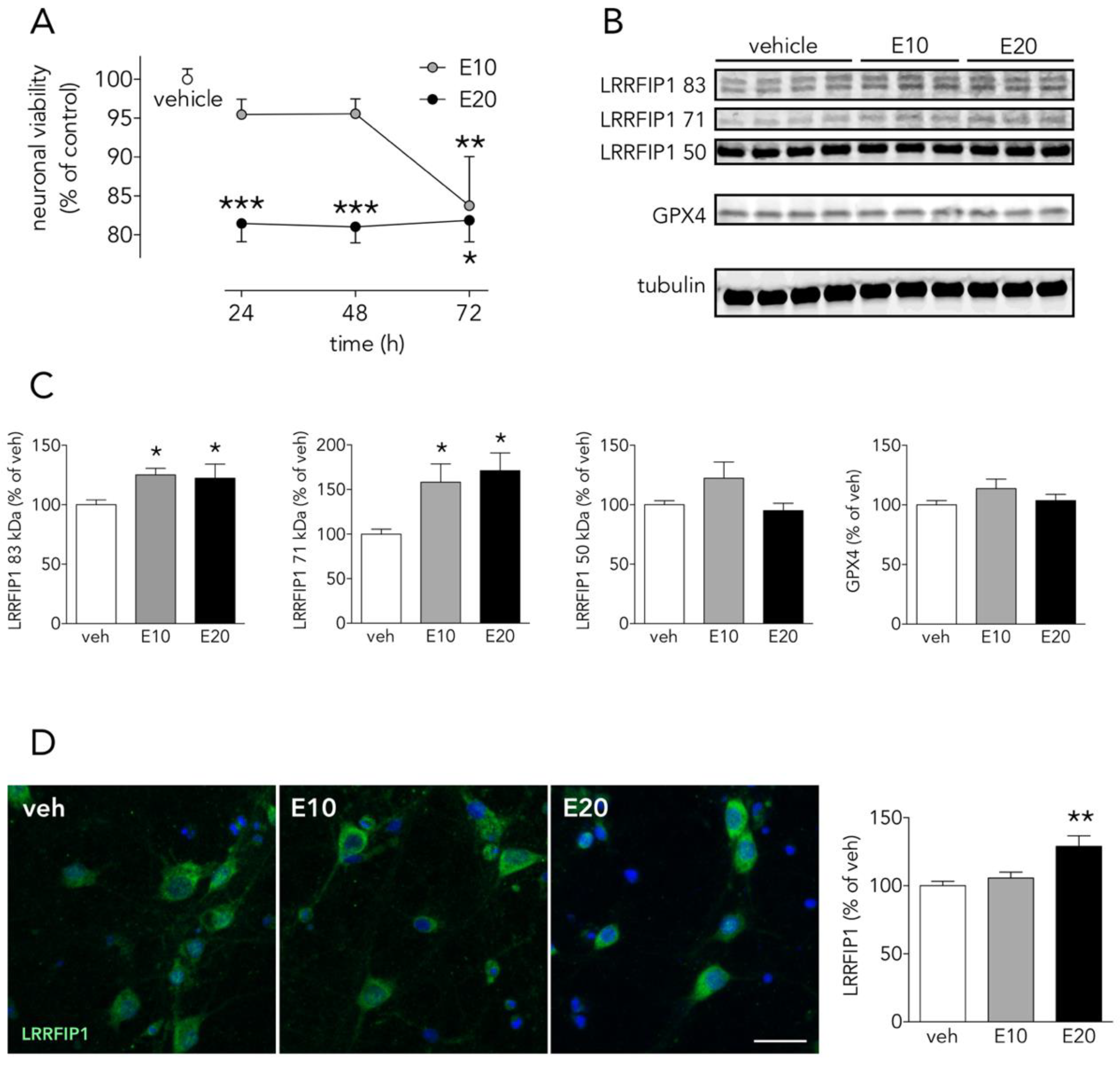 Antioxidants 09 01202 g008