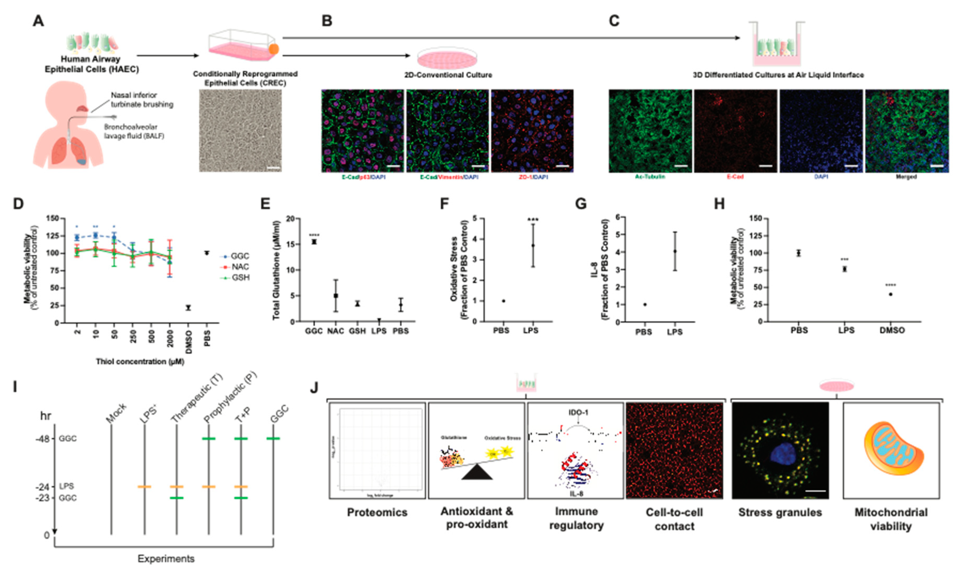 Antioxidants 09 01204 g001