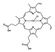 Antioxidants 09 01205 i004