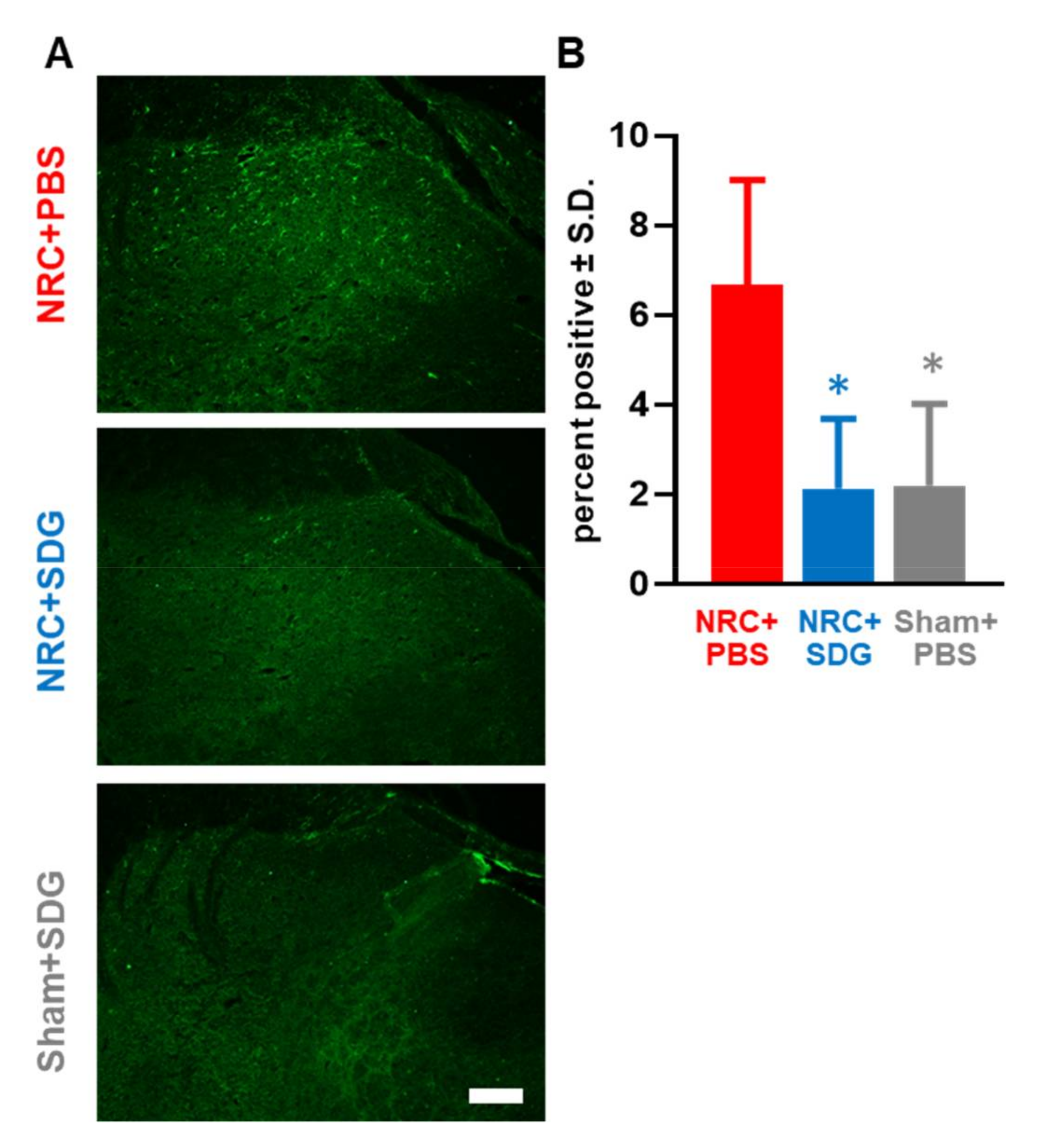 Antioxidants 09 01209 g005