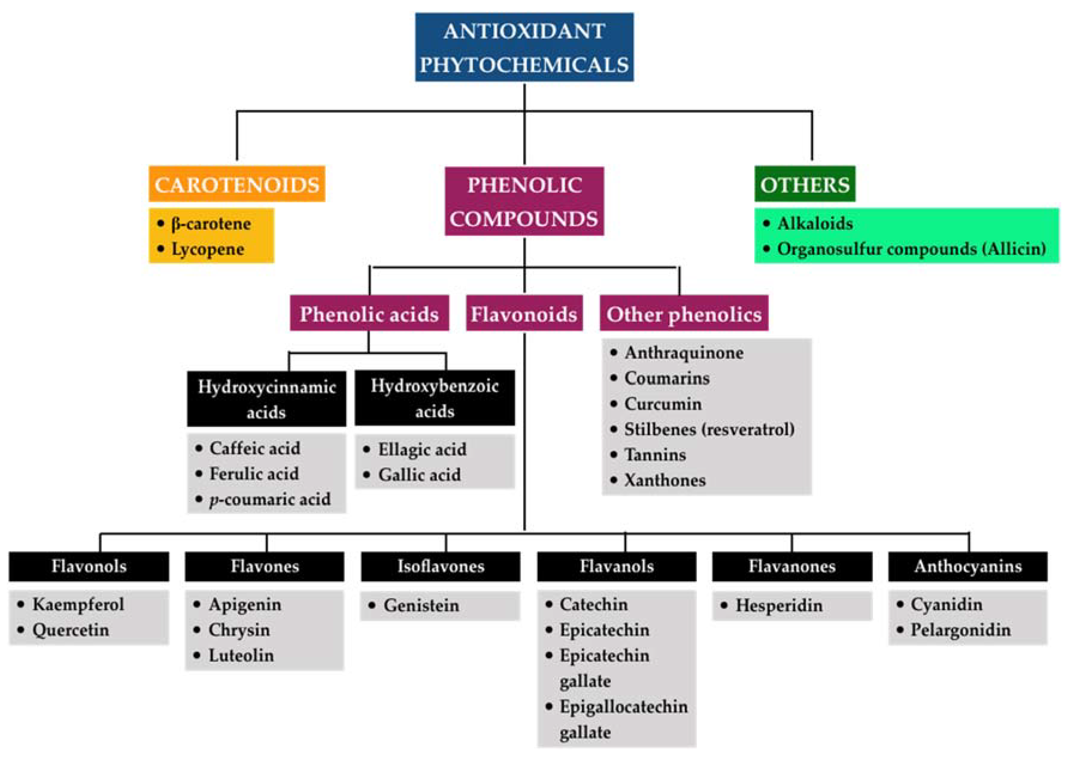 Antioxidants 09 01211 g005