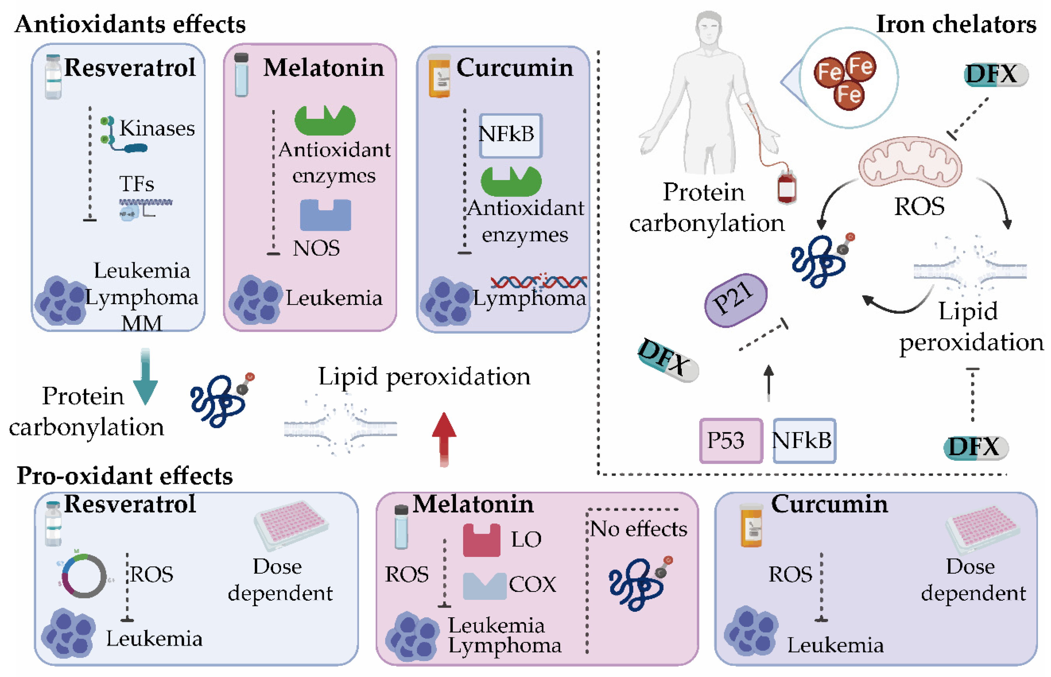 Antioxidants 09 01212 g004
