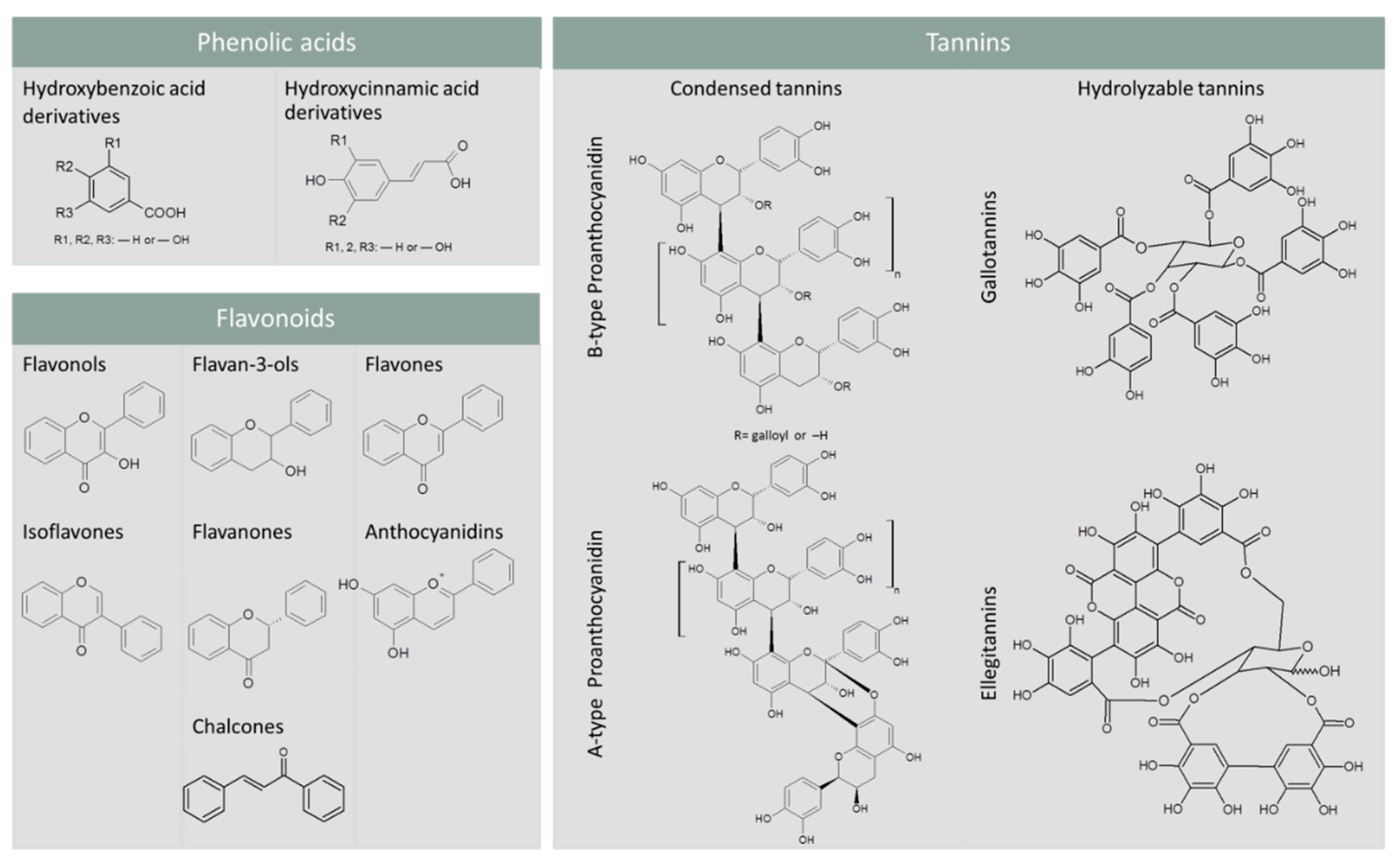 Antioxidants 09 01216 g001