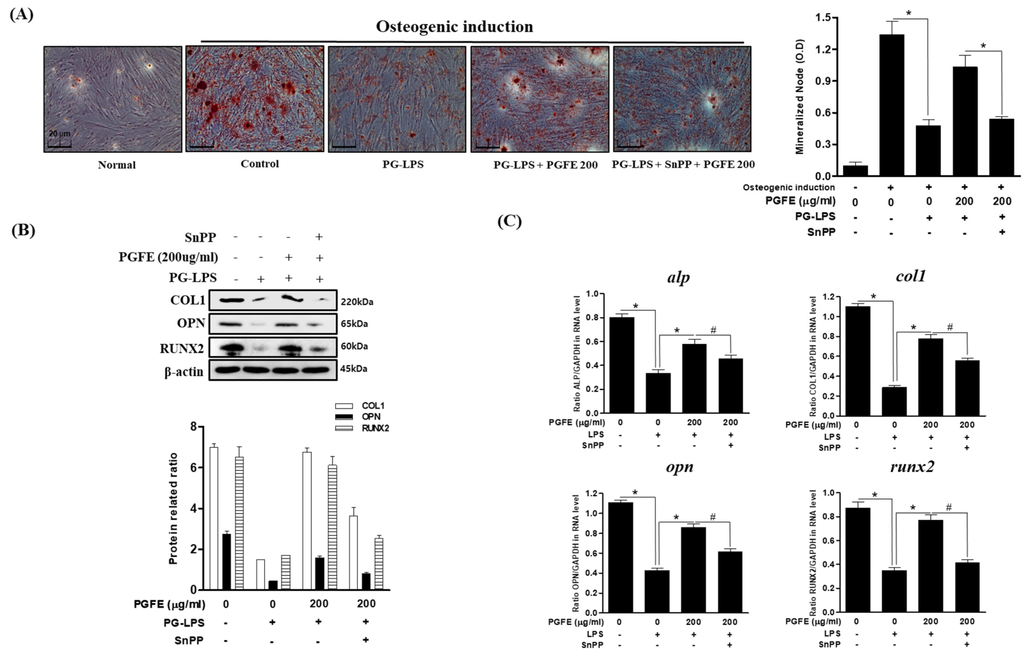 Antioxidants 09 01221 g007