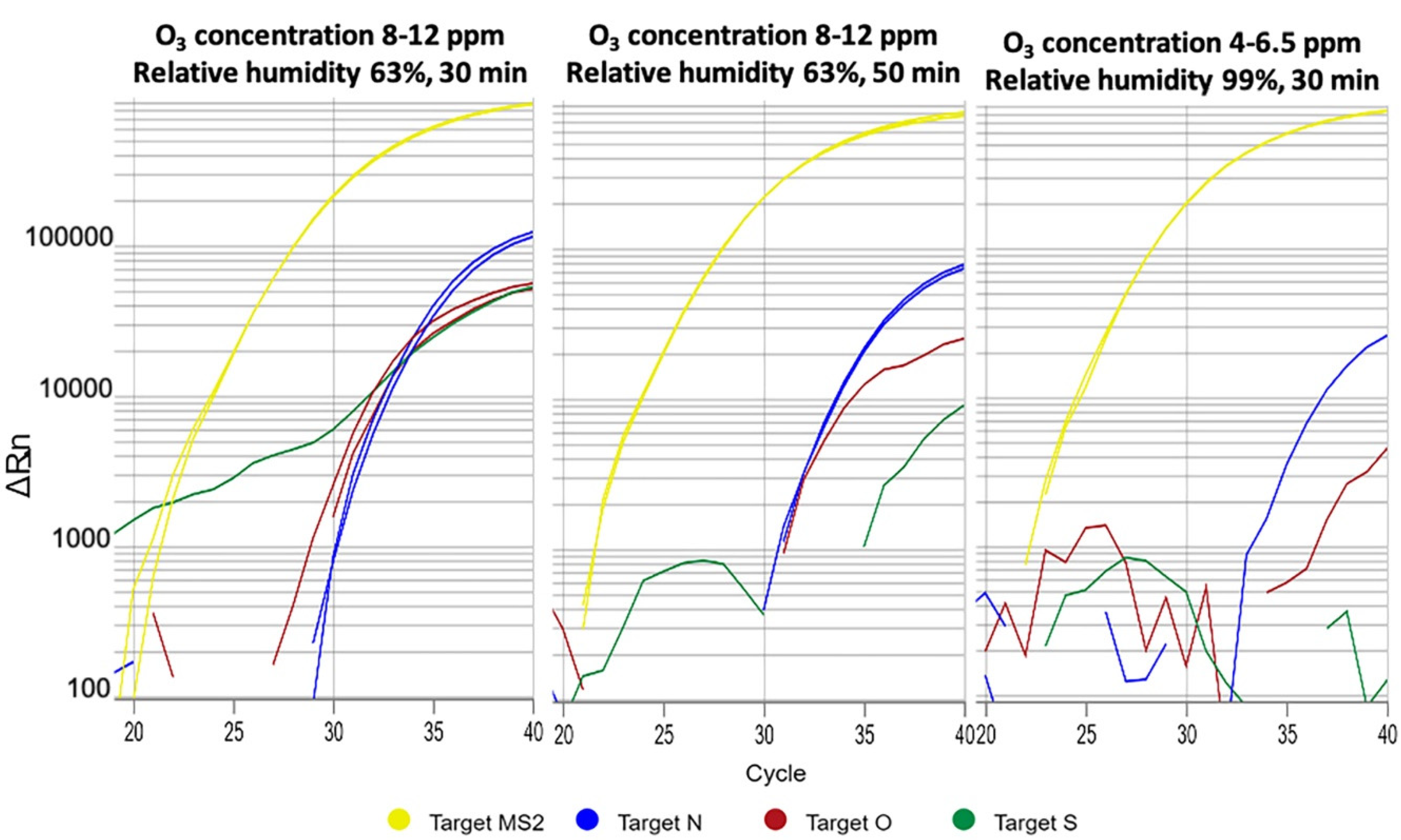 Antioxidants 09 01222 g004