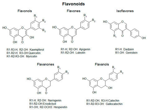 Antioxidants 09 01225 i002