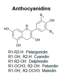 Antioxidants 09 01225 i003