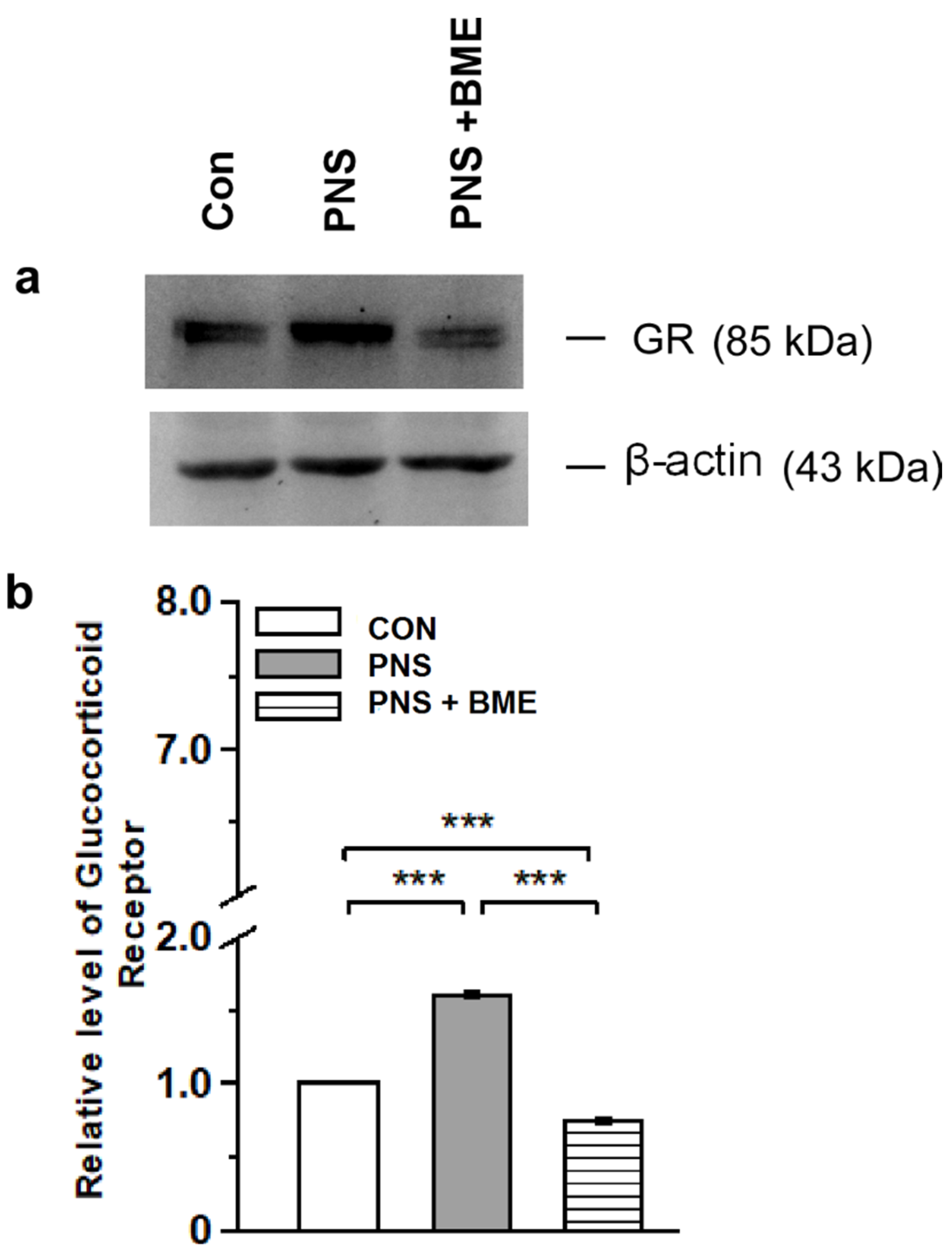 Antioxidants 09 01229 g005