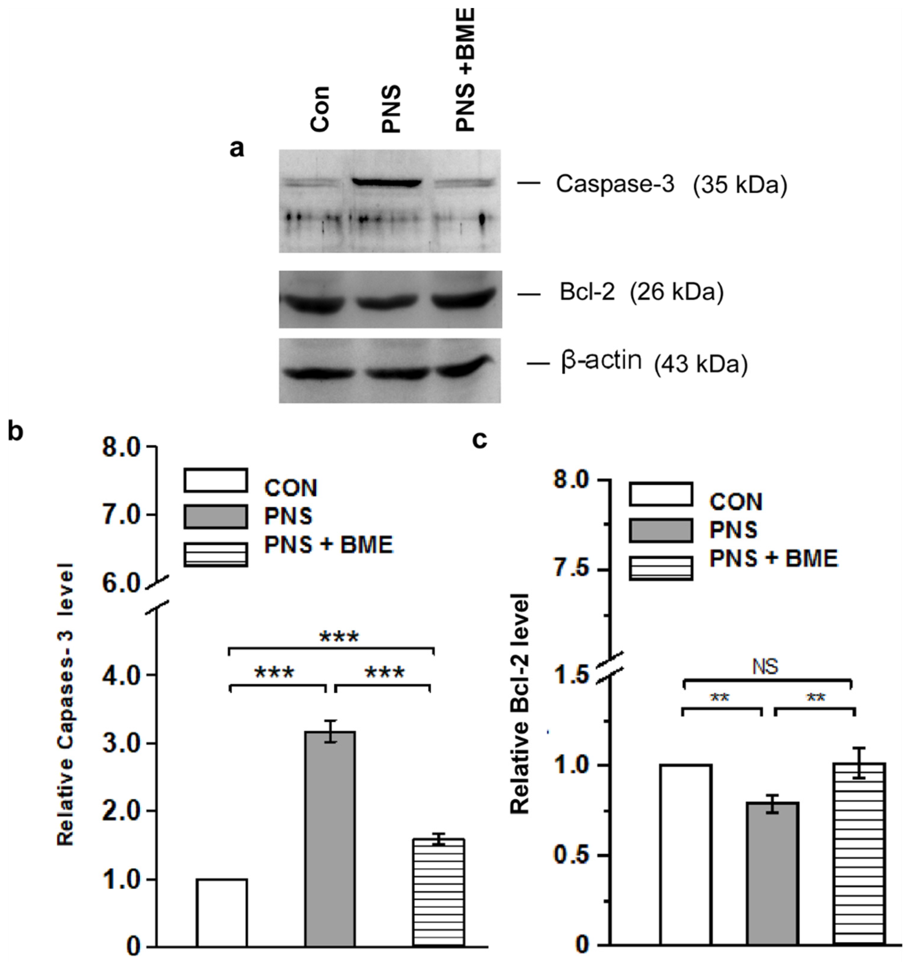 Antioxidants 09 01229 g006