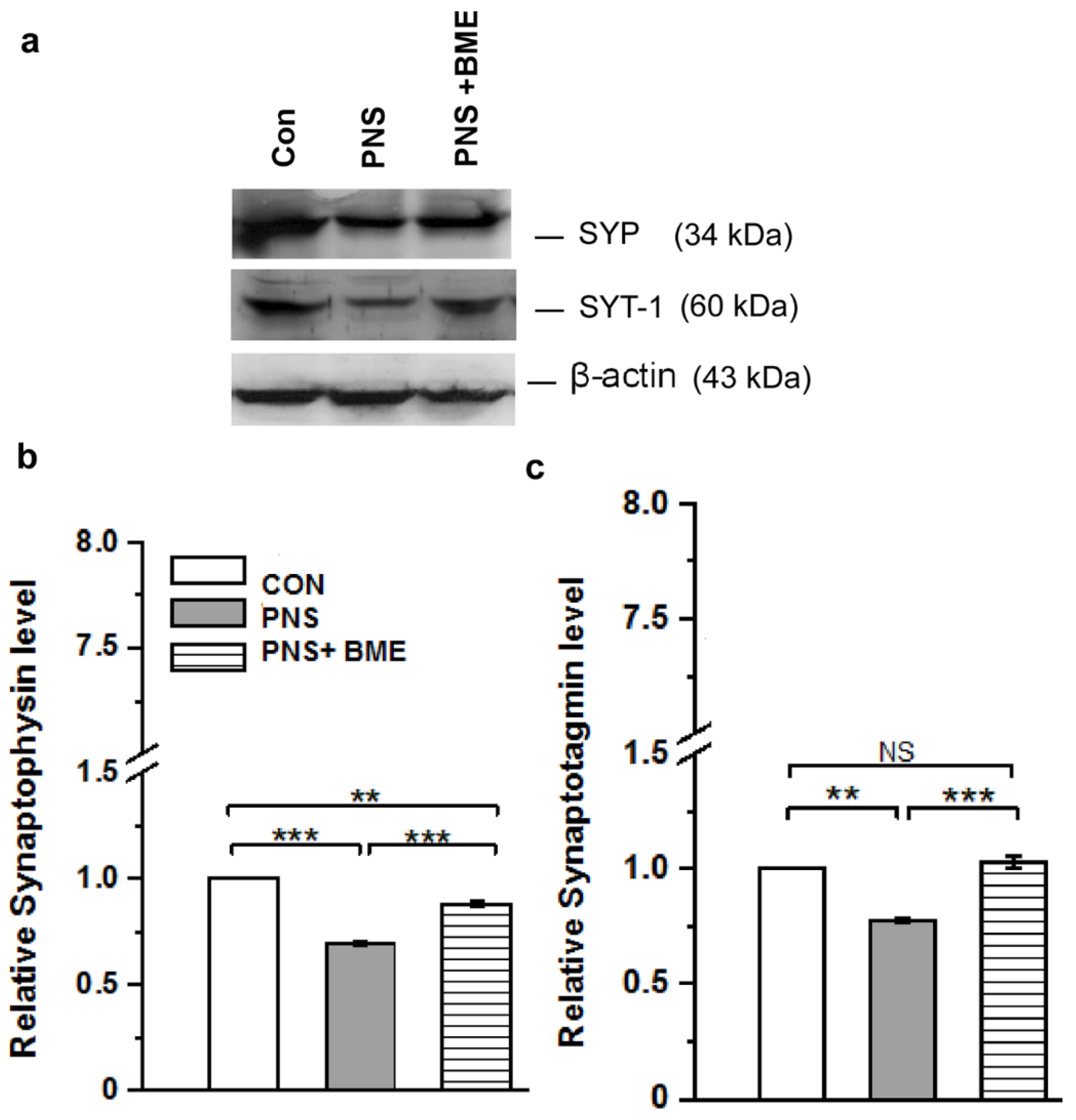 Antioxidants 09 01229 g007