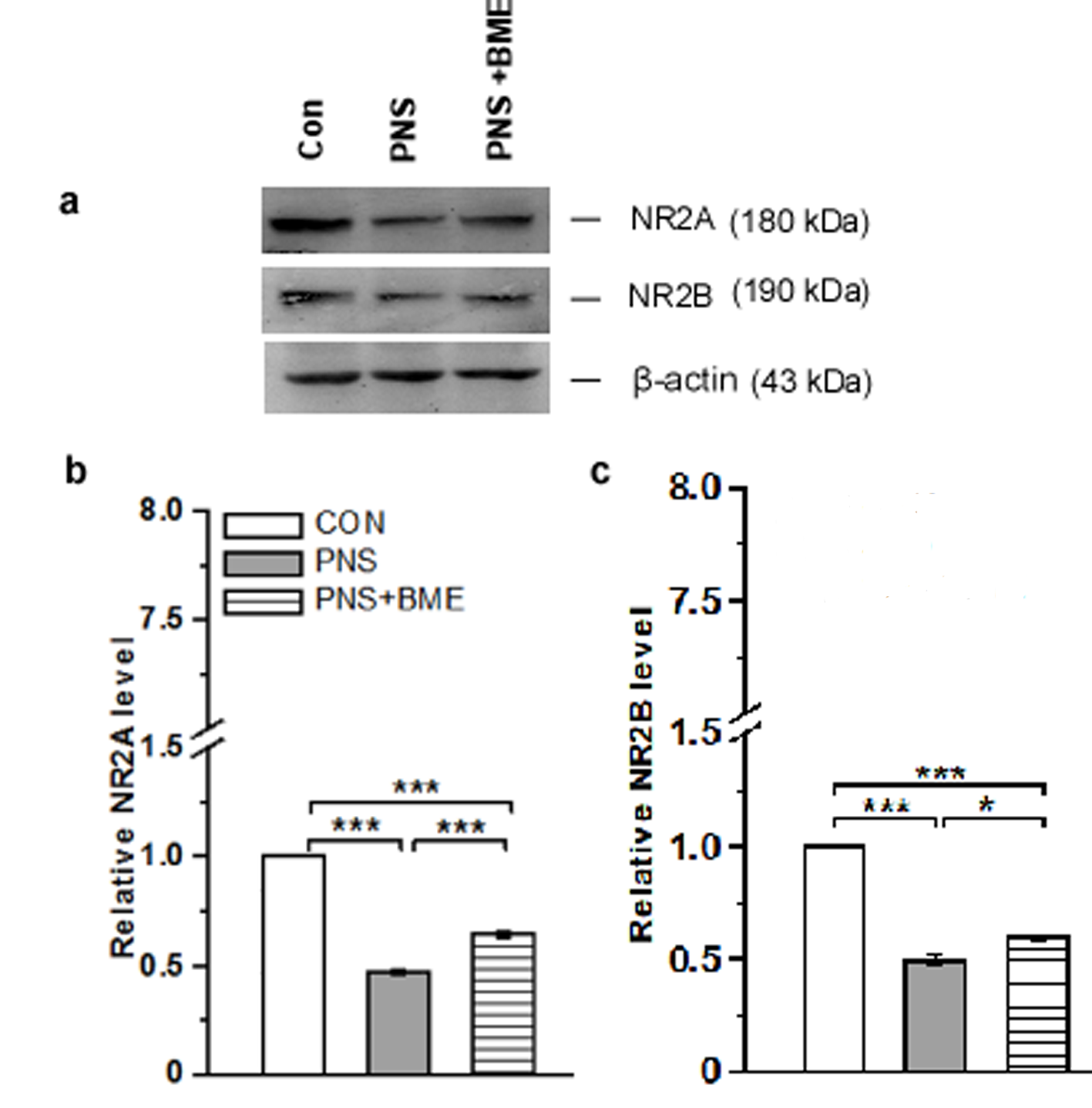Antioxidants 09 01229 g010