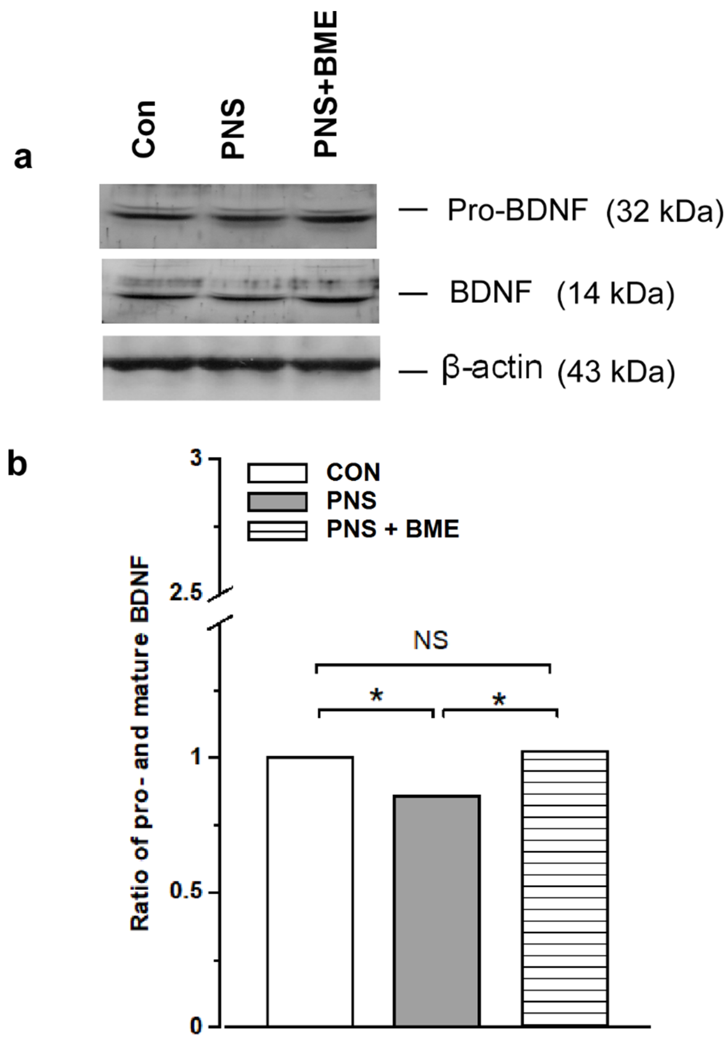 Antioxidants 09 01229 g012