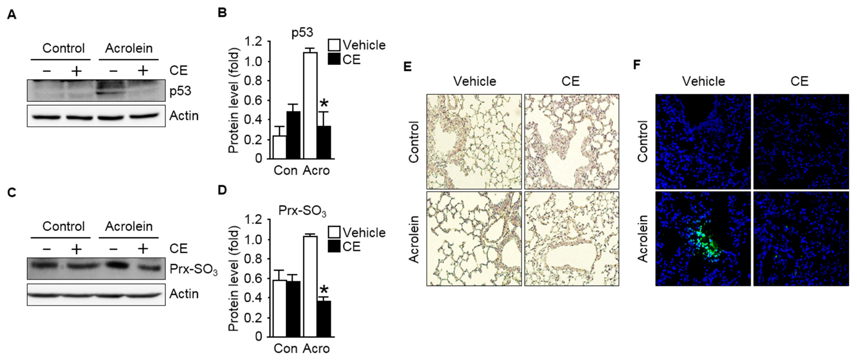 Antioxidants 09 01231 g005