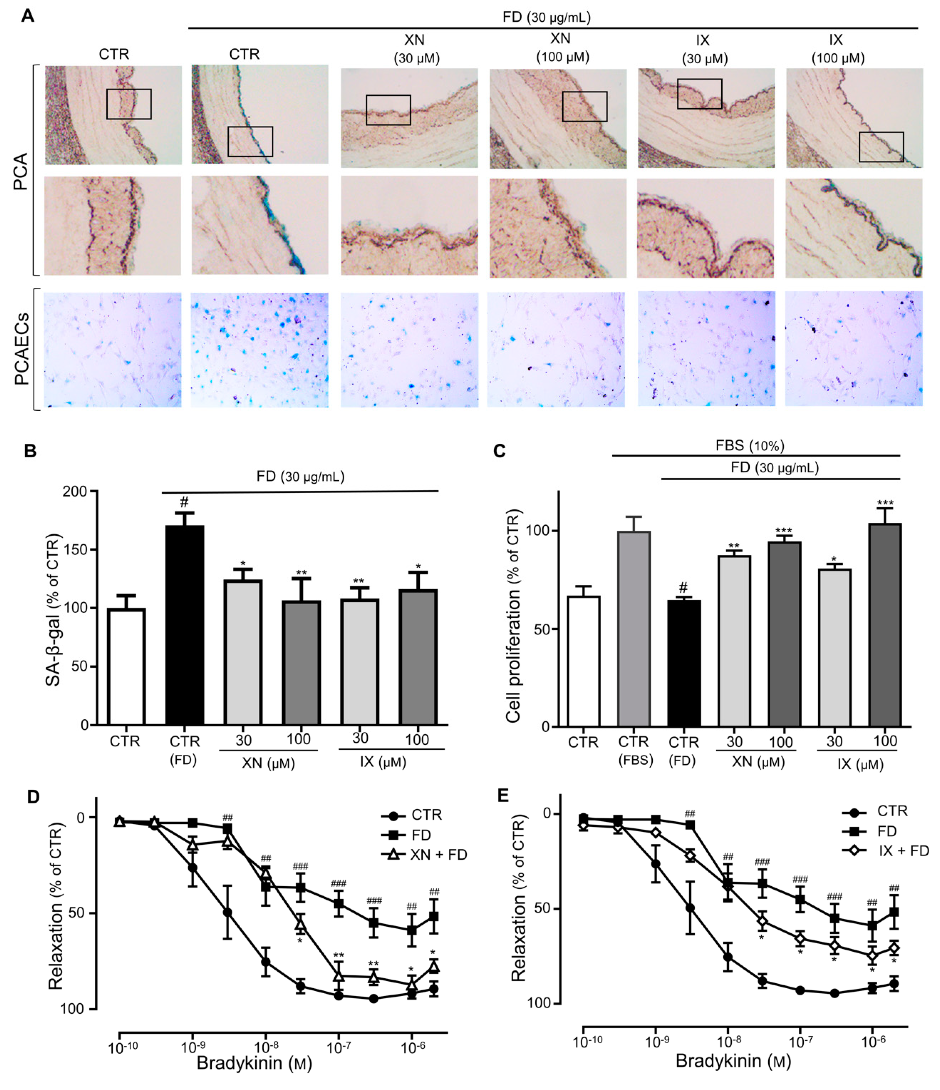 Antioxidants 09 01243 g003