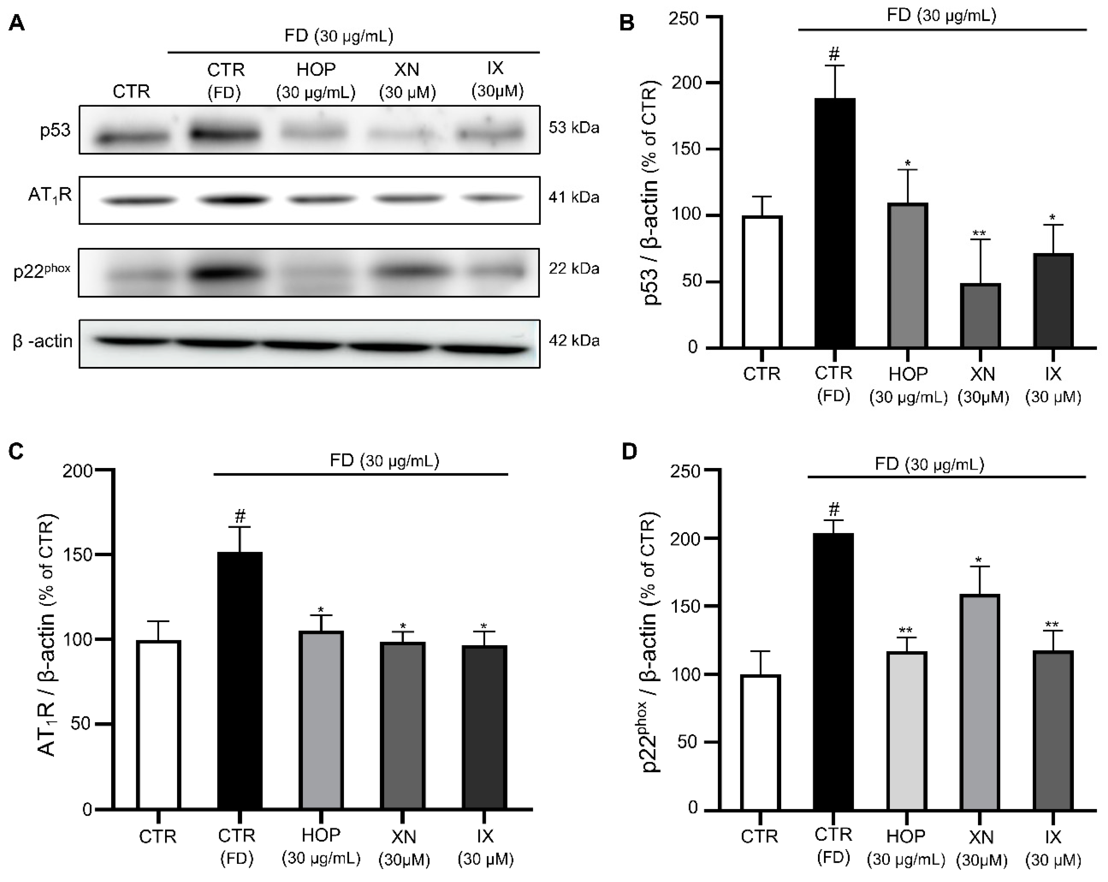 Antioxidants 09 01243 g005