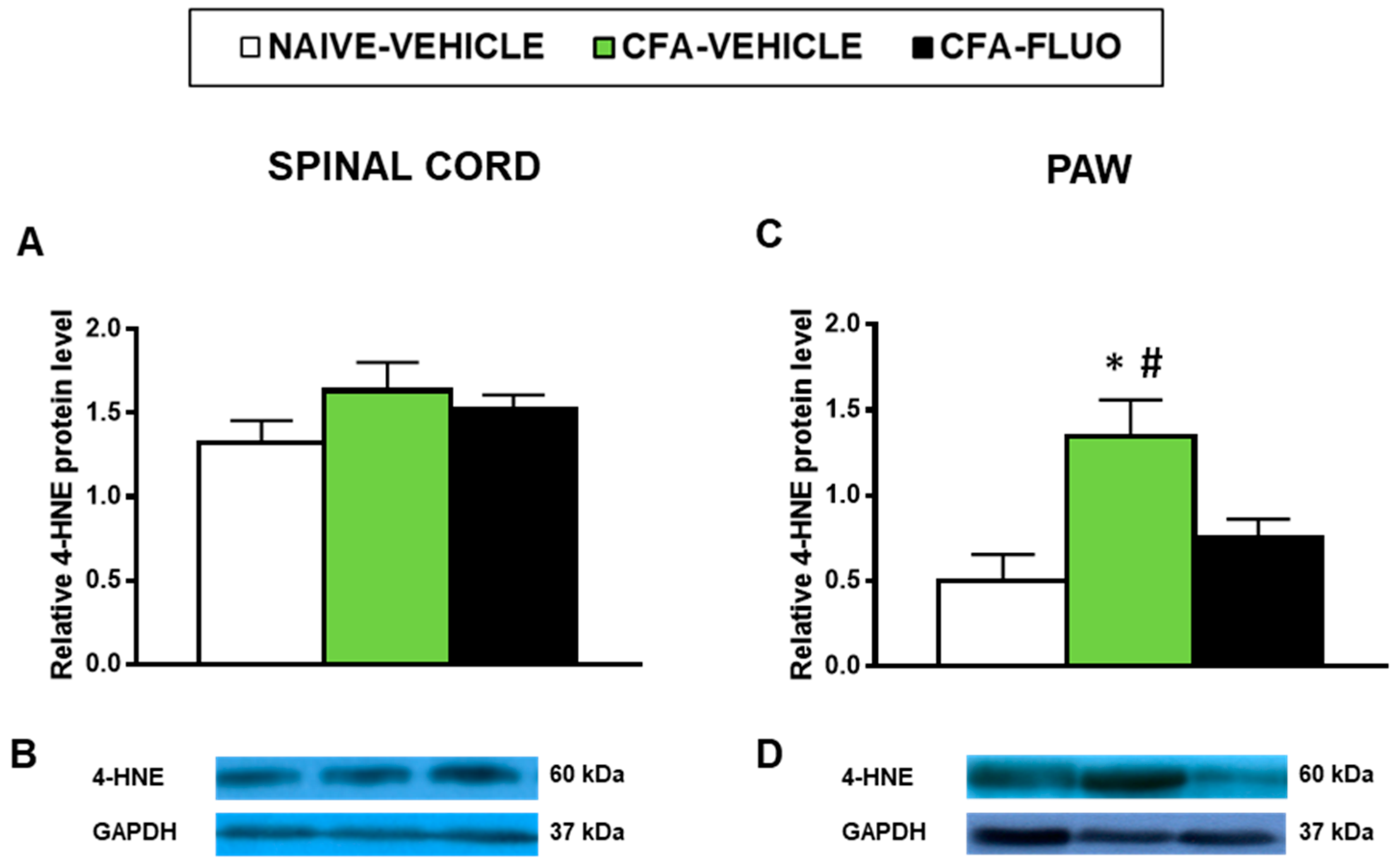 Antioxidants 09 01249 g006