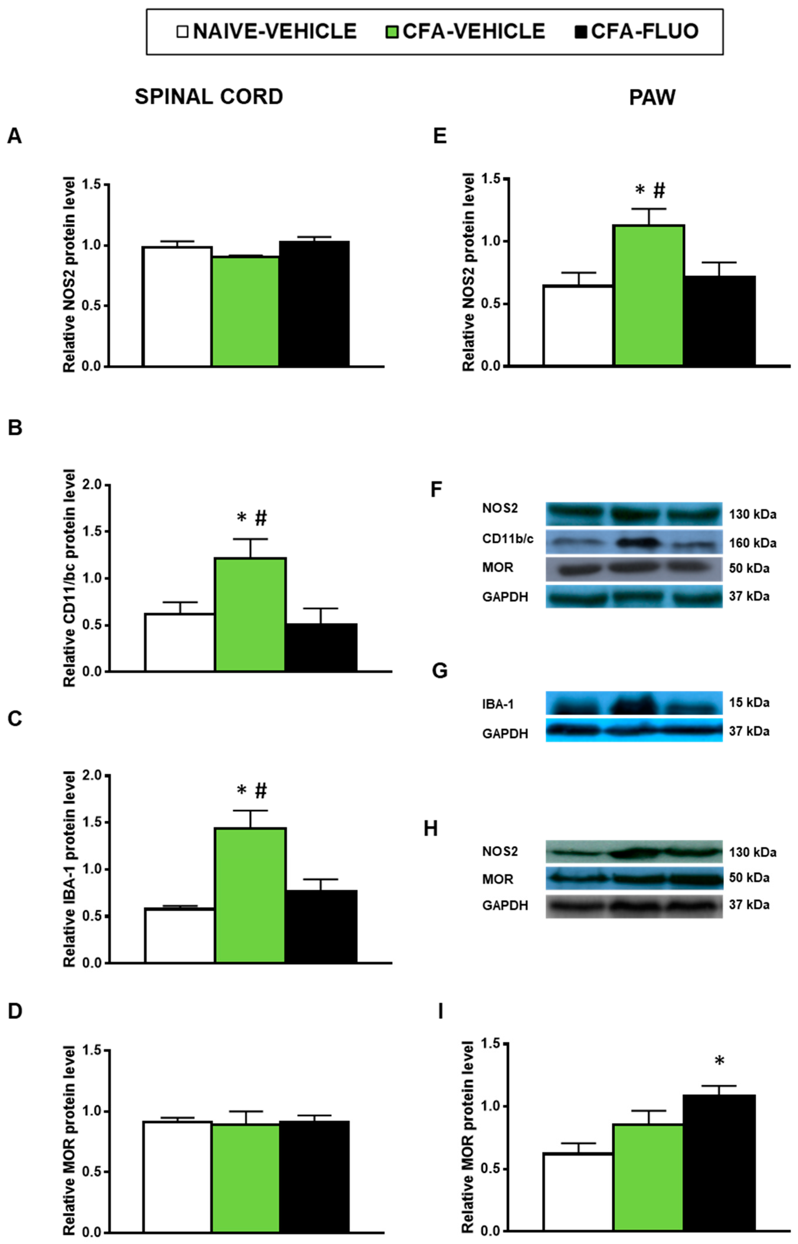 Antioxidants 09 01249 g007
