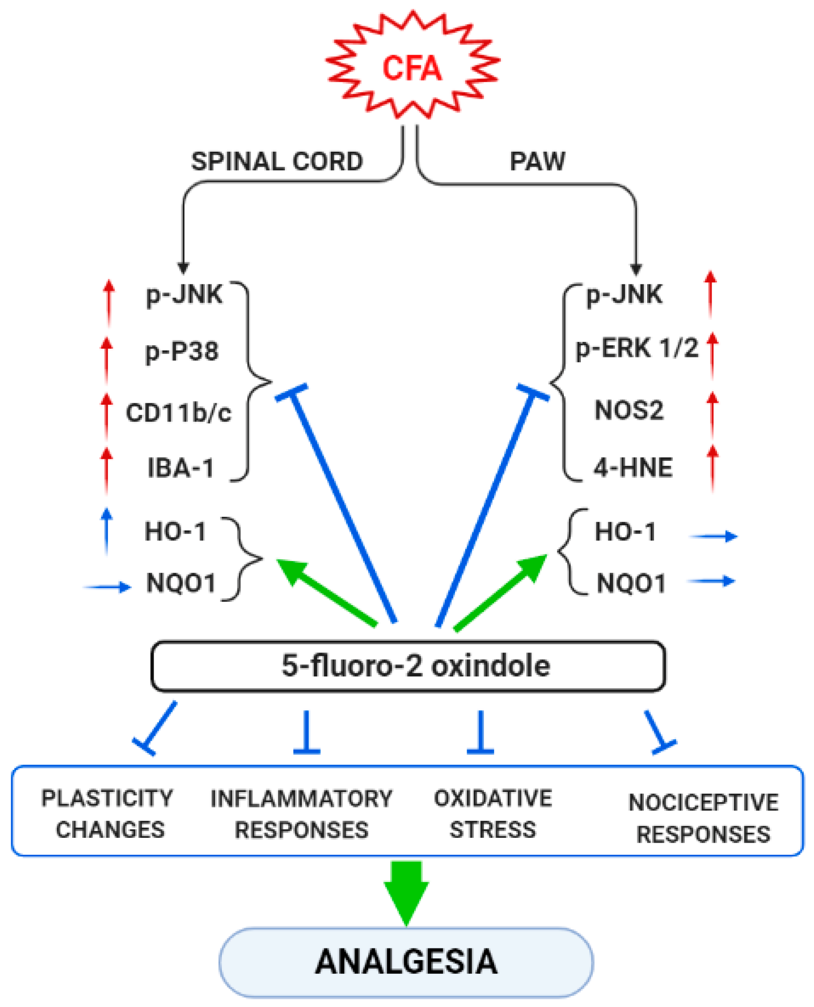 Antioxidants 09 01249 g009