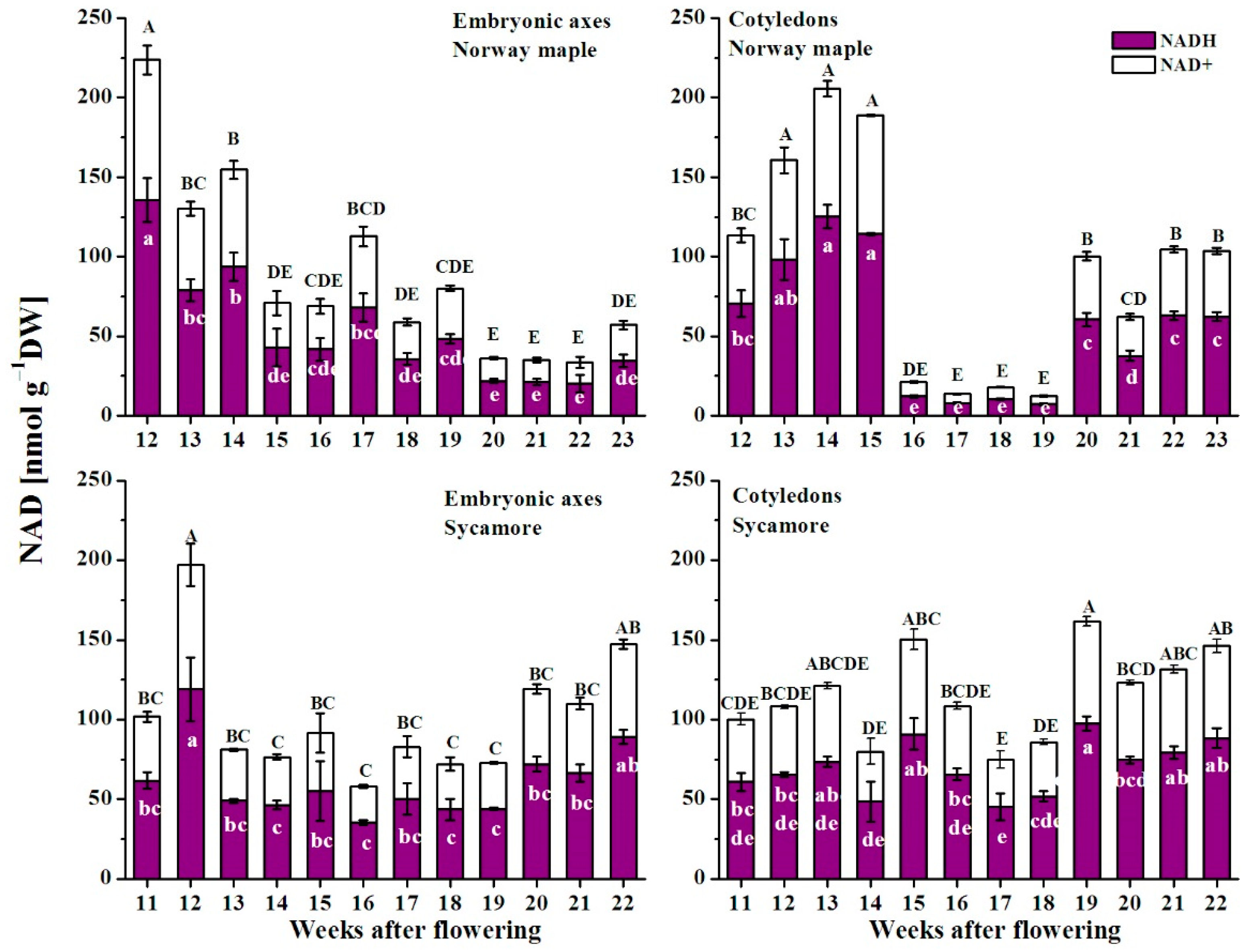 Antioxidants 09 01250 g007