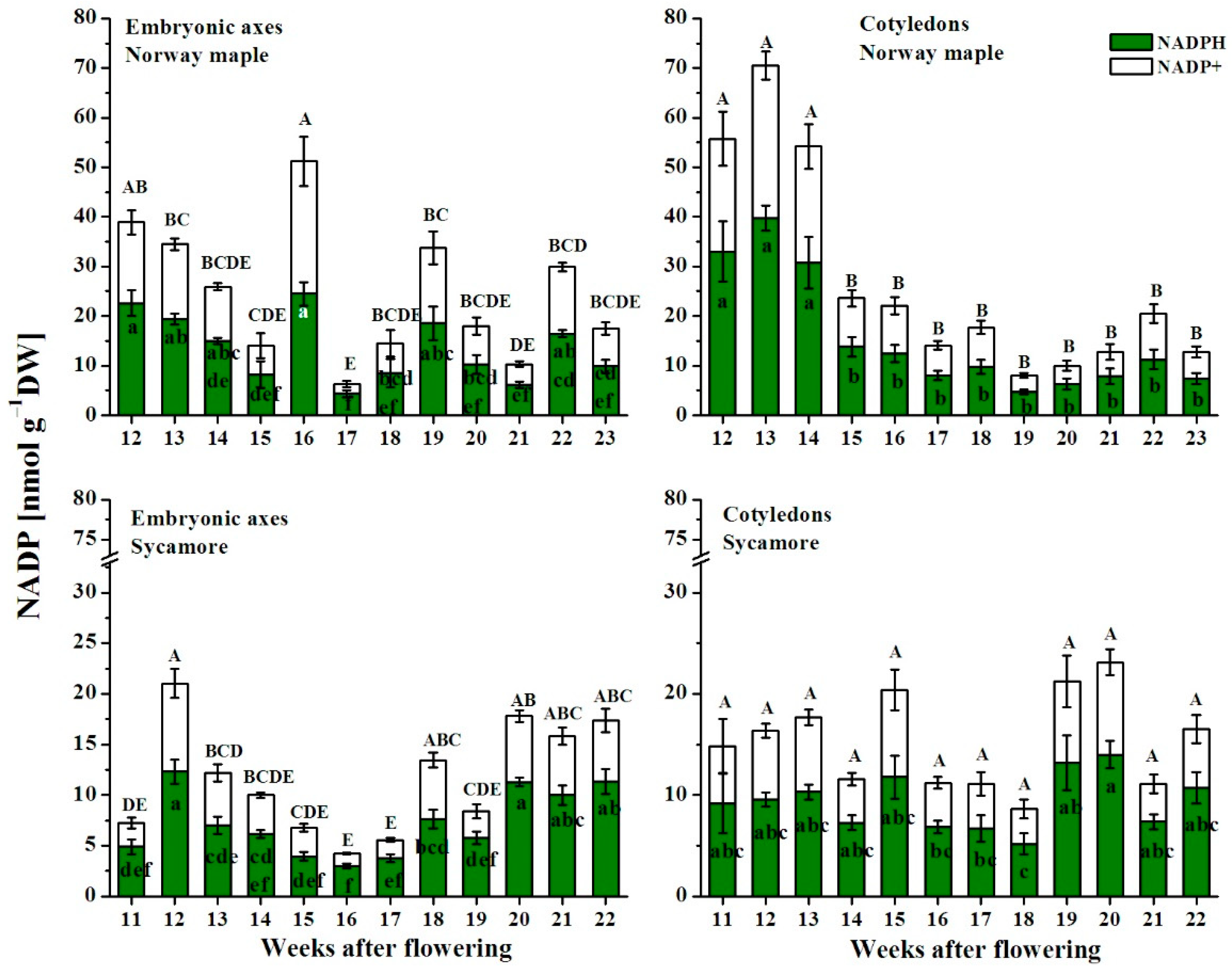 Antioxidants 09 01250 g008