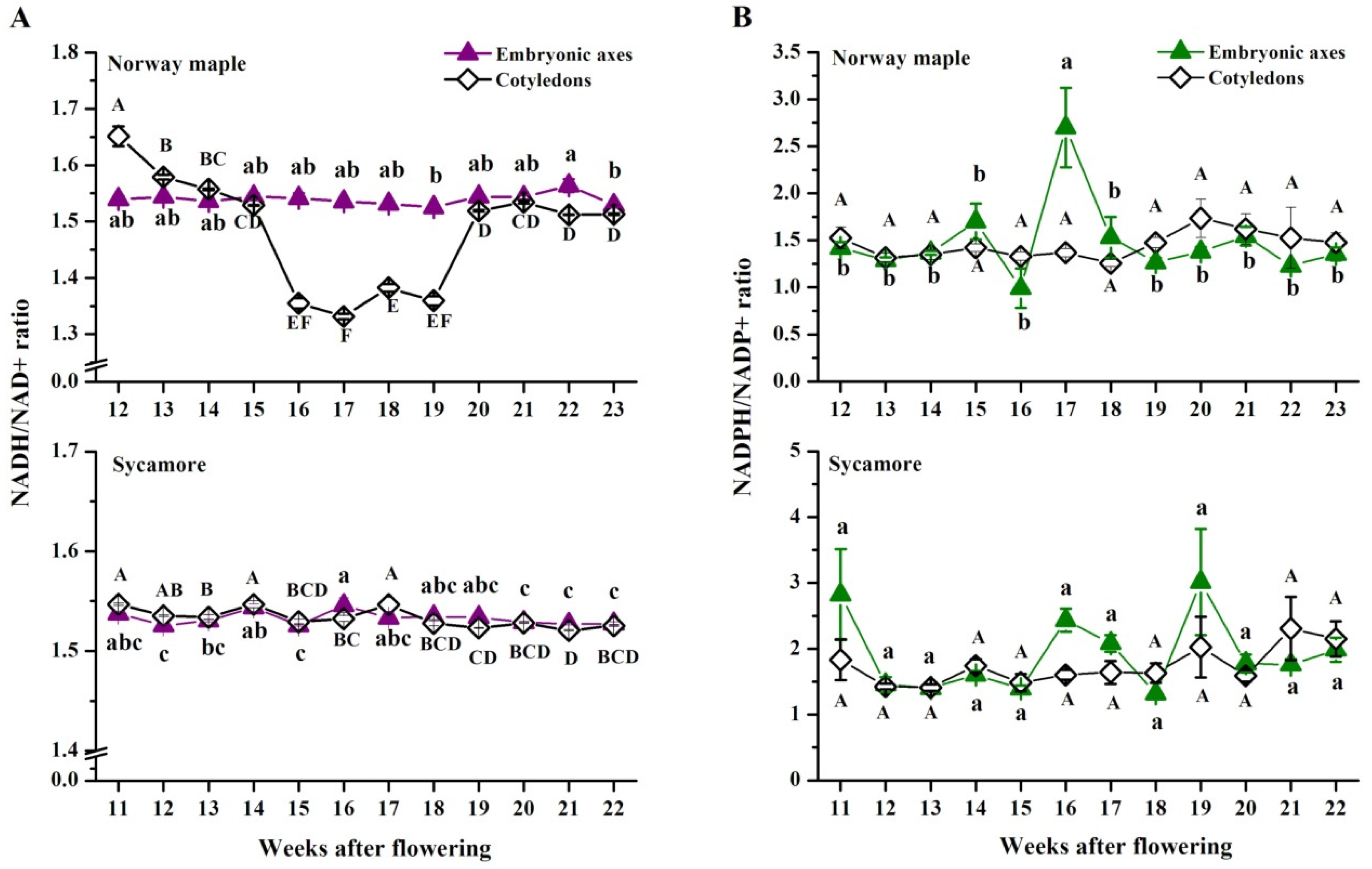Antioxidants 09 01250 g009