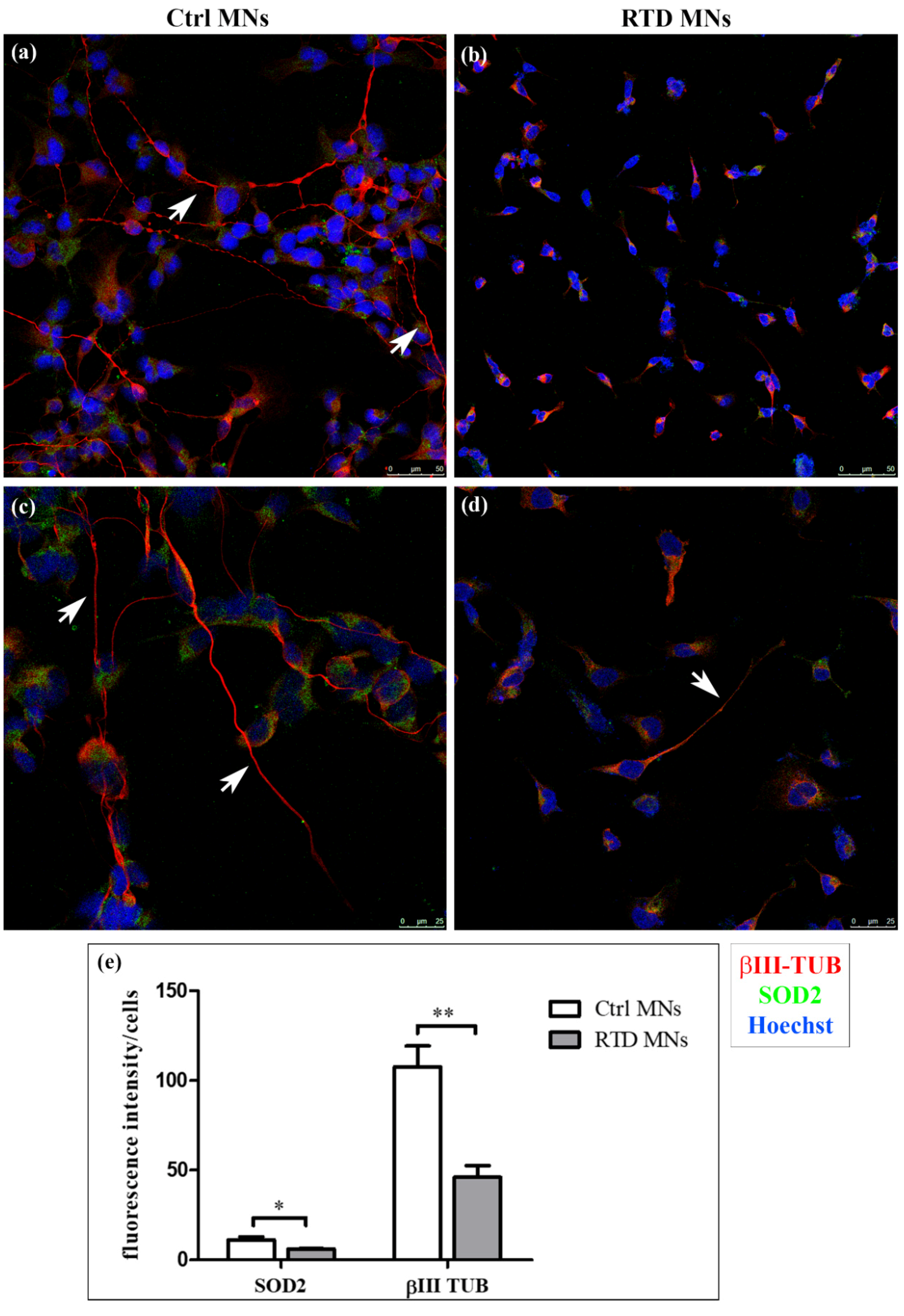 Antioxidants 09 01252 g001
