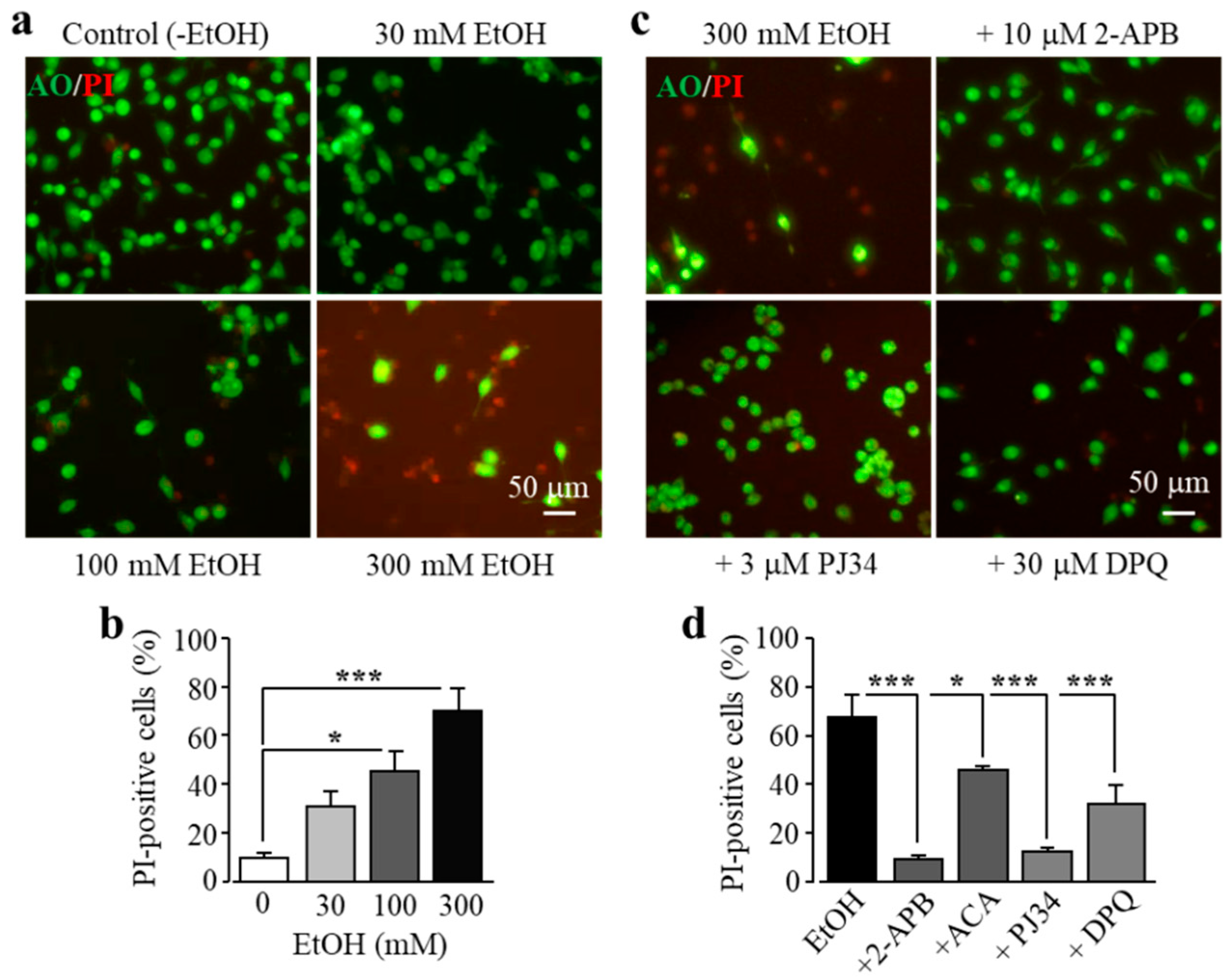 Antioxidants 09 01253 g003