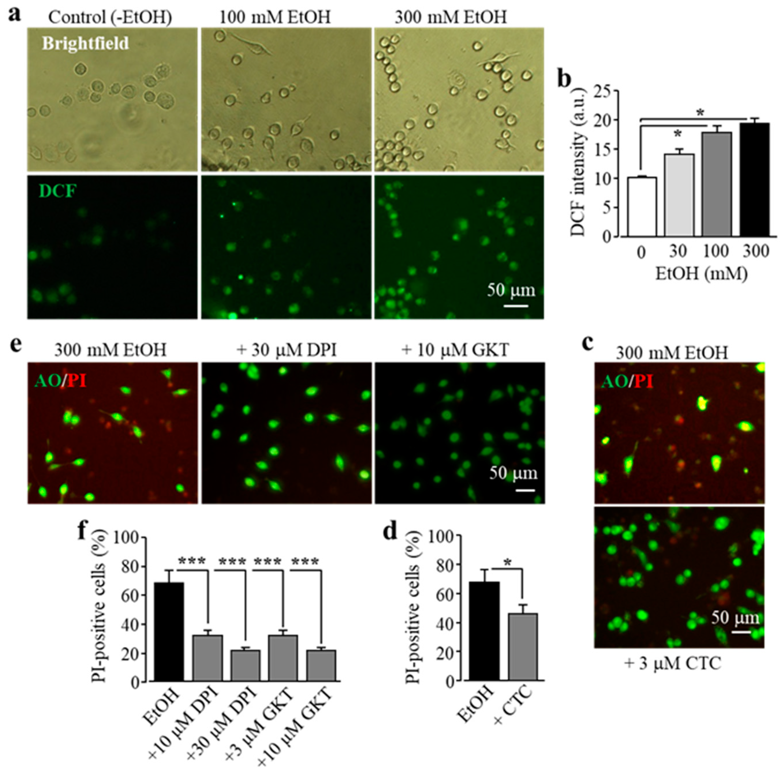Antioxidants 09 01253 g004