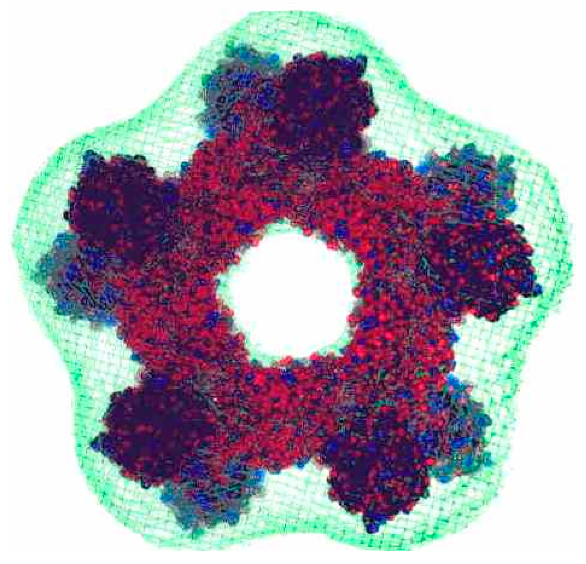 Antioxidants 09 01254 g004