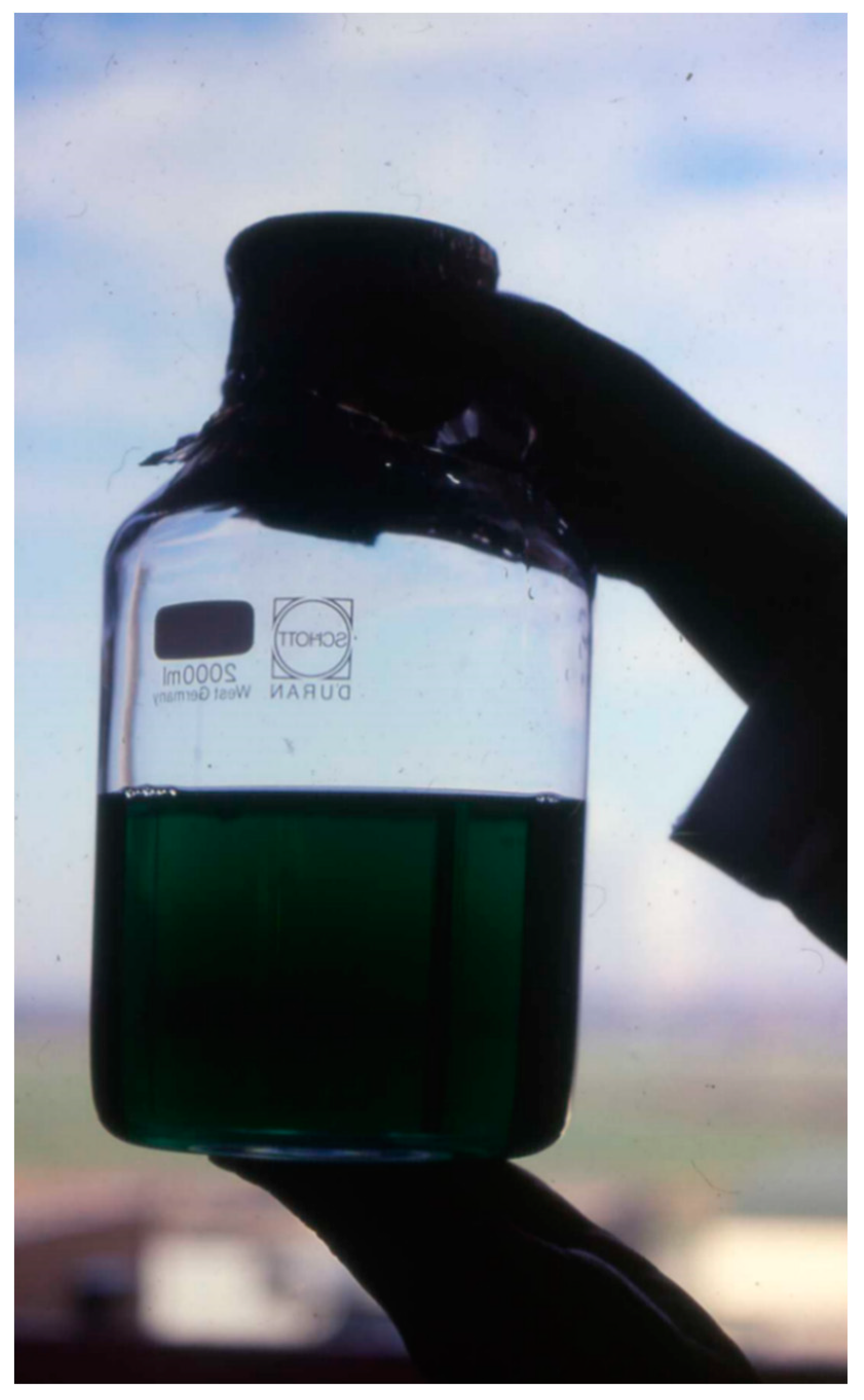 Antioxidants 09 01254 g006