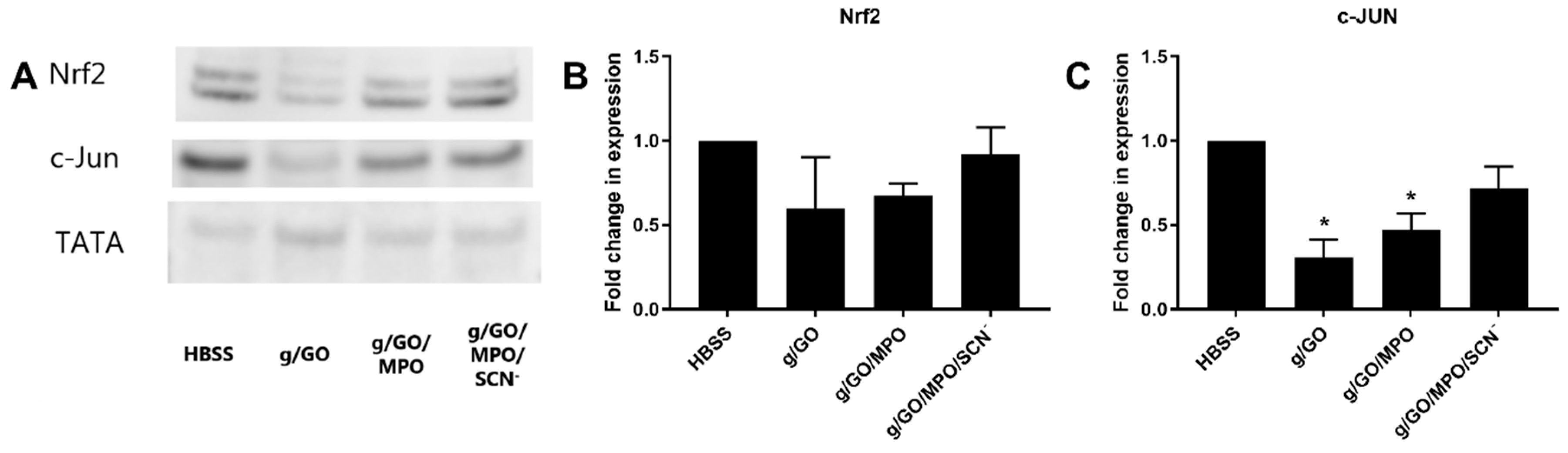 Antioxidants 09 01255 g004