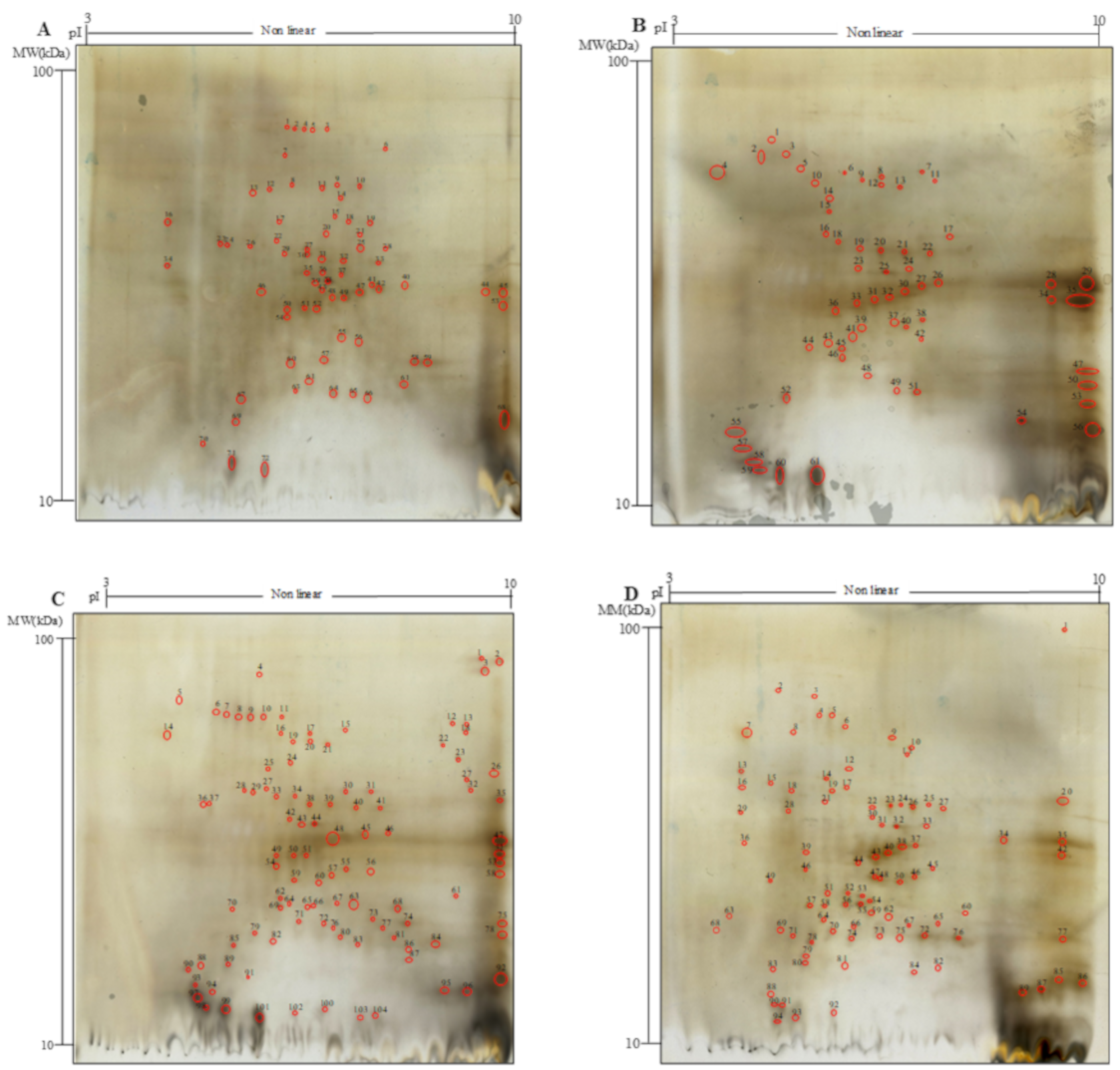 Antioxidants 09 01258 g001