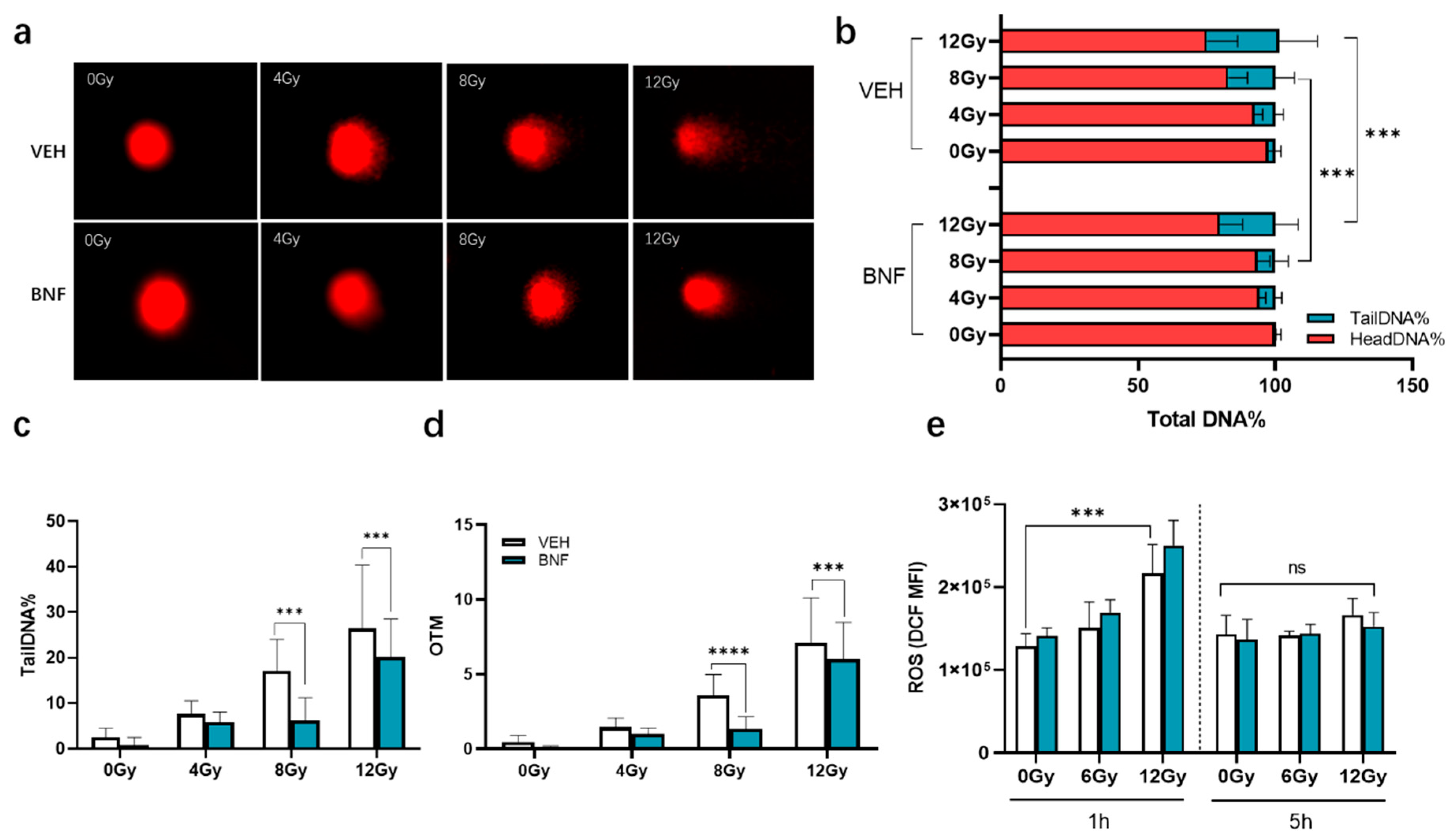 Antioxidants 09 01264 g004 Antioxidants 09 01264 g004