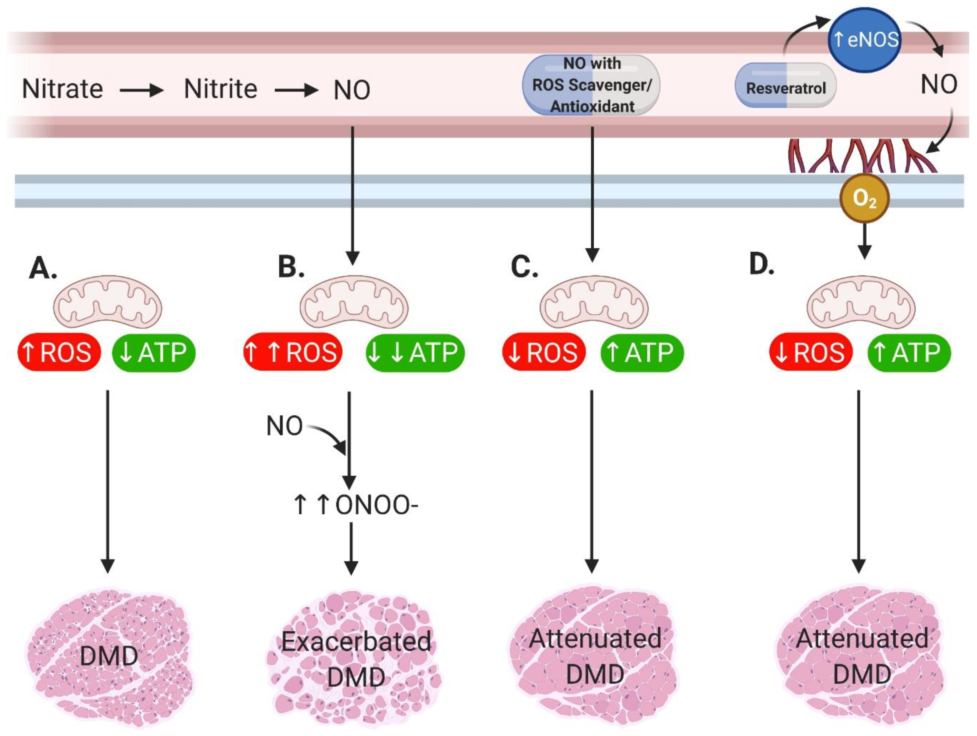 Antioxidants 09 01268 g002