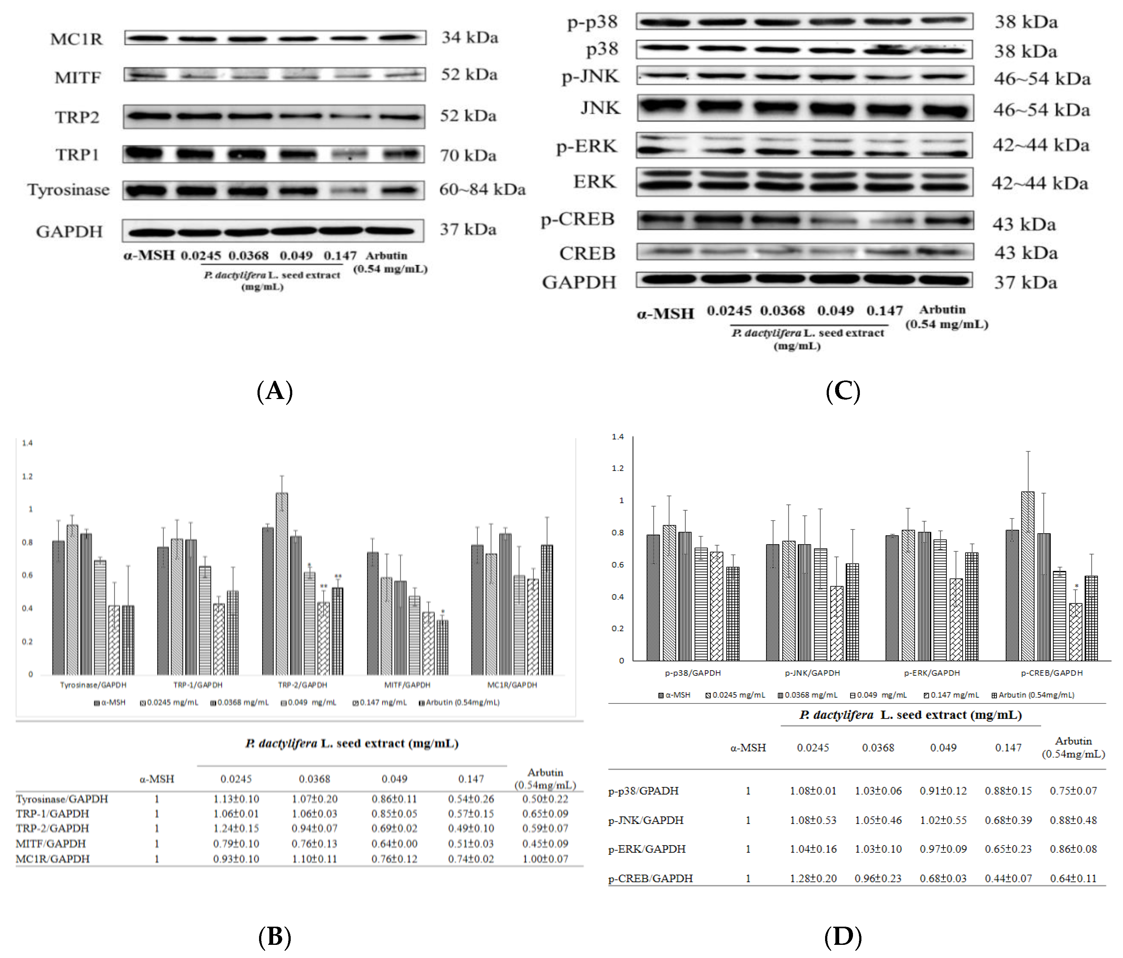 Antioxidants 09 01270 g005