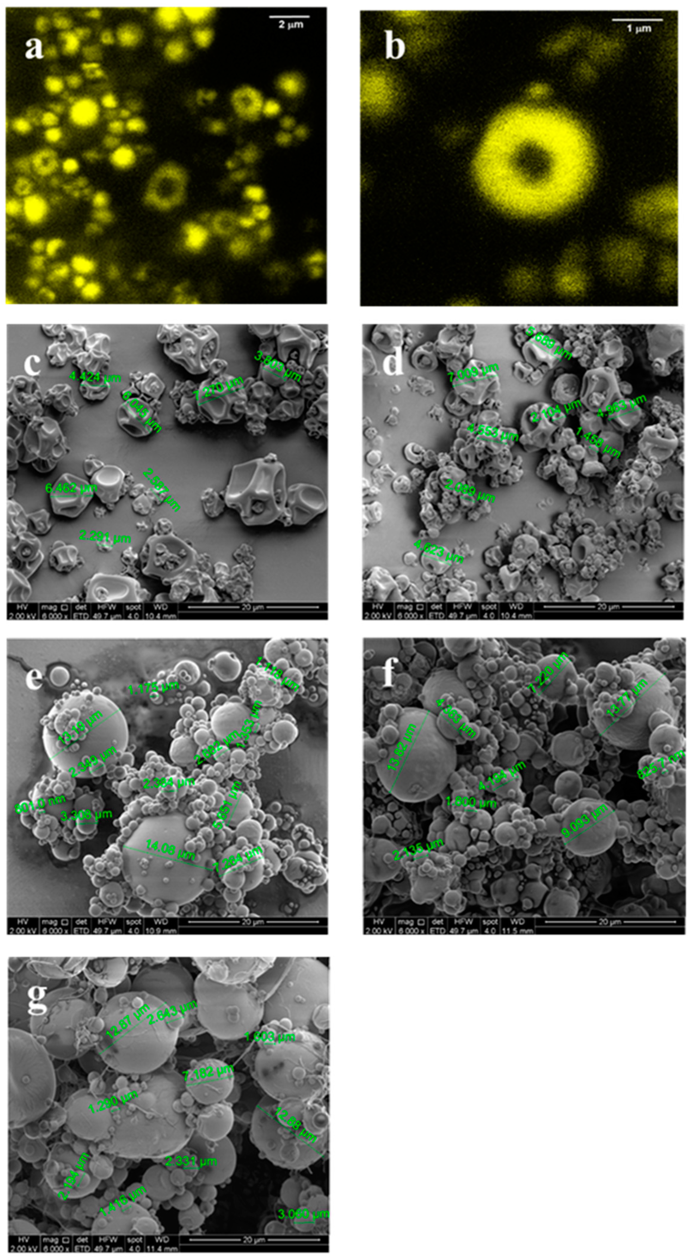 Antioxidants 09 01272 g003 Antioxidants 09 01272 g003