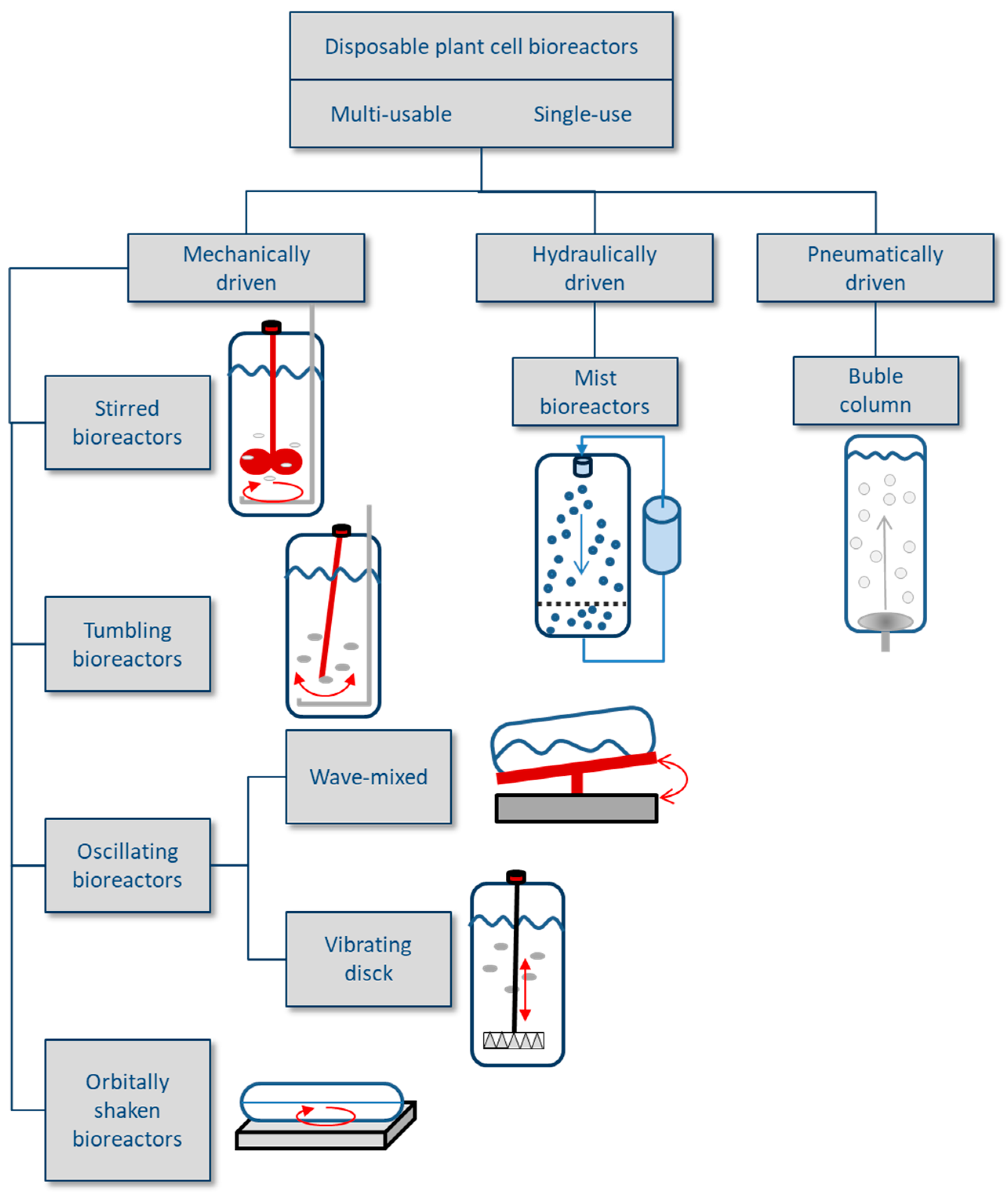Antioxidants 09 01273 g006 Antioxidants 09 01273 g006