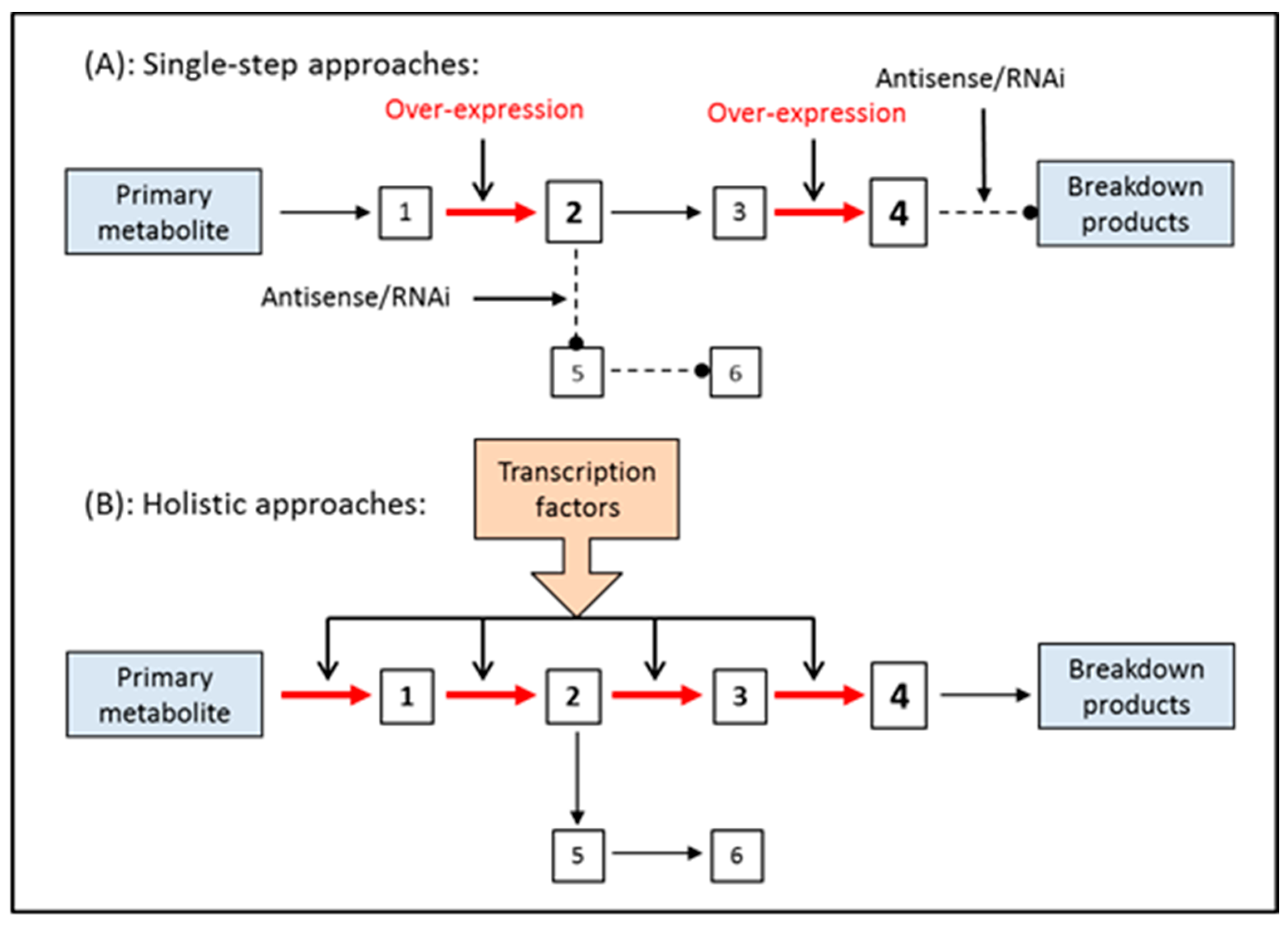 Antioxidants 09 01273 g007 Antioxidants 09 01273 g007
