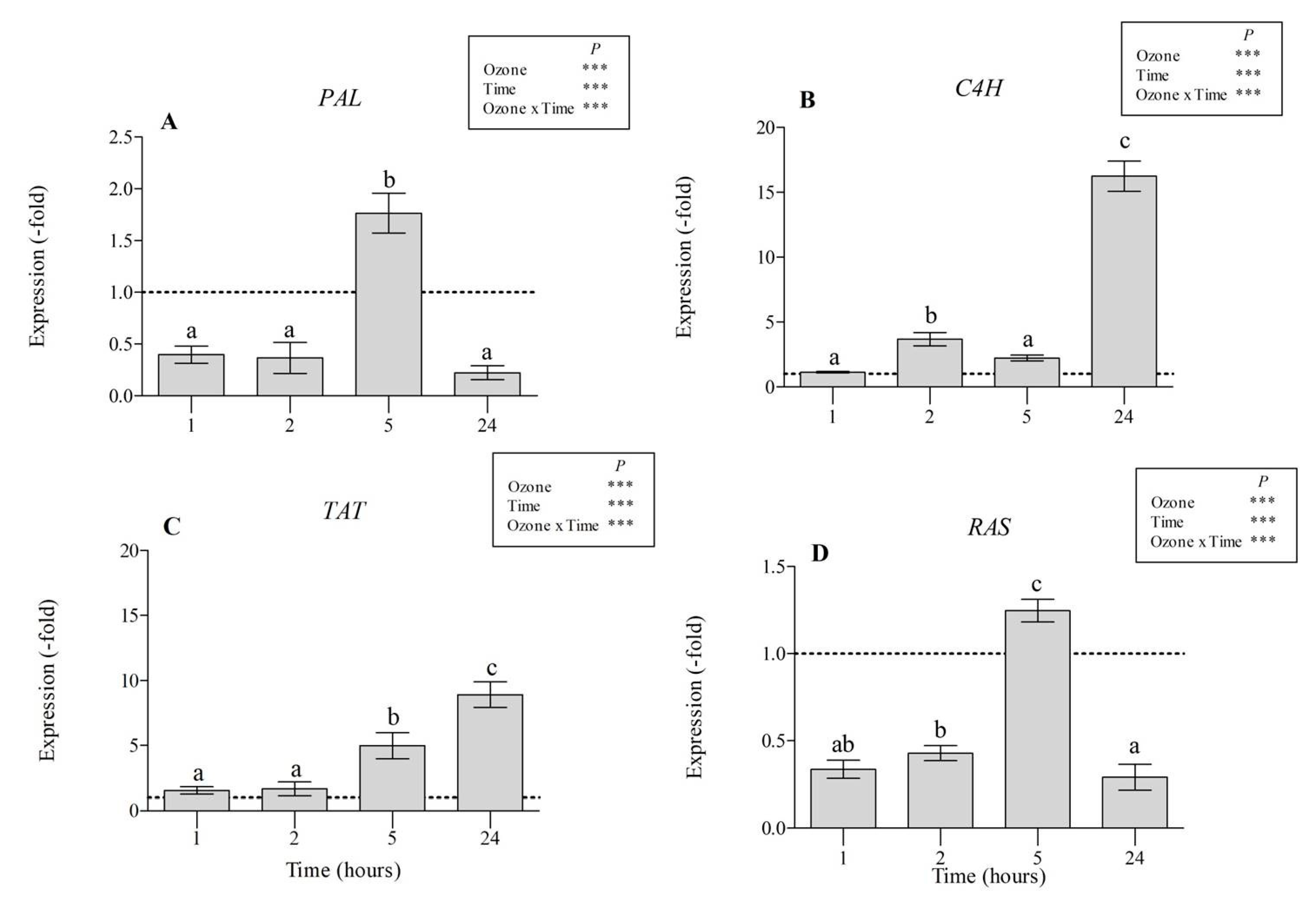 Antioxidants 09 01274 g005