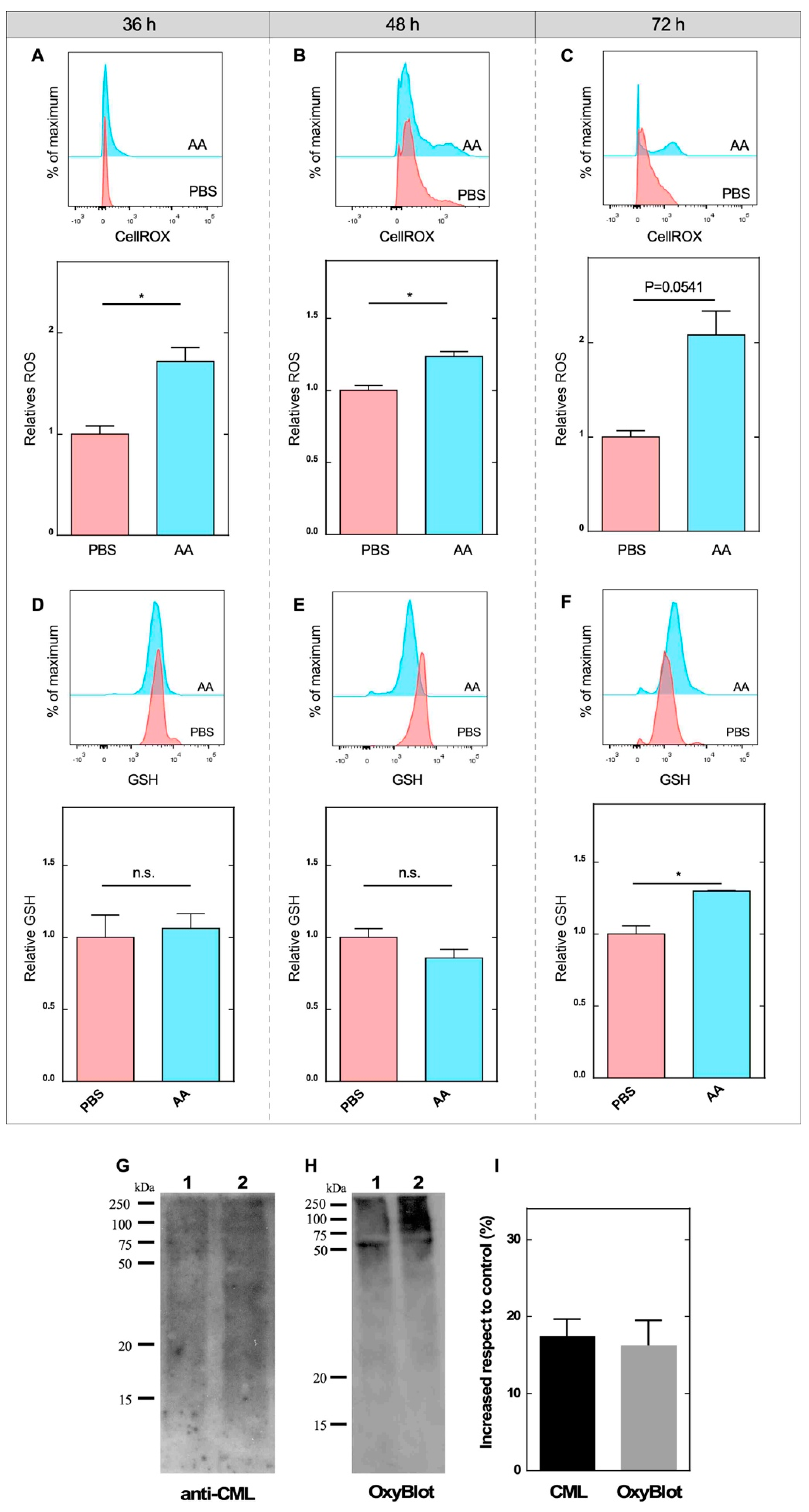 Antioxidants 09 01276 g006